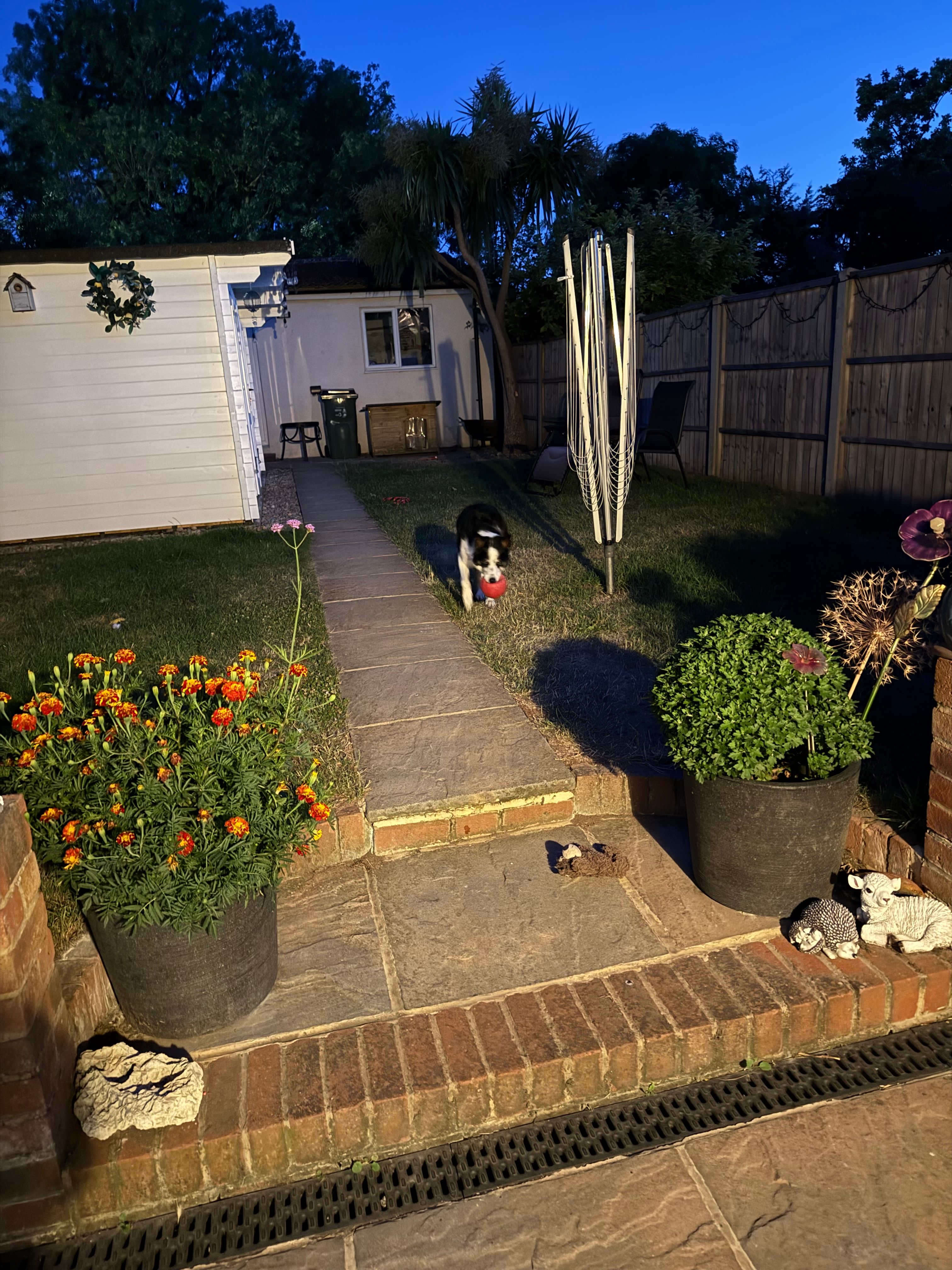 image-11