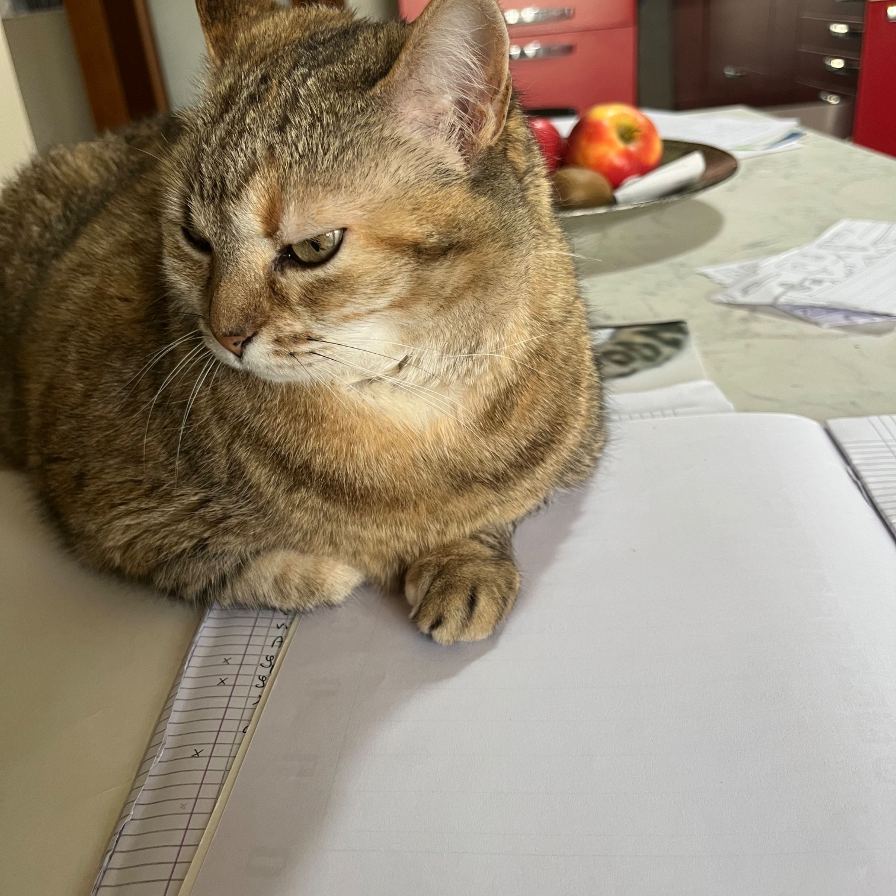 Kiki