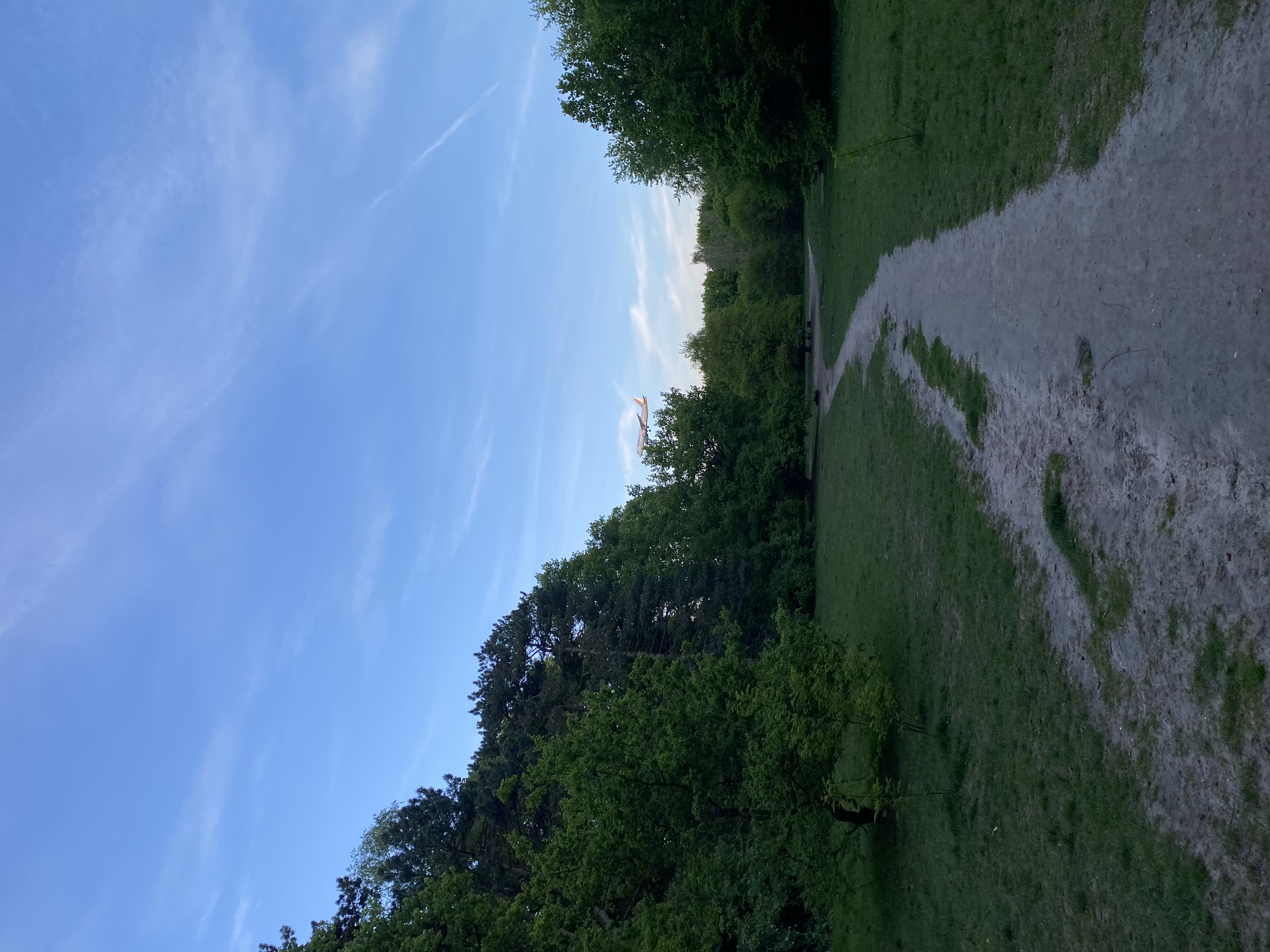 image-16