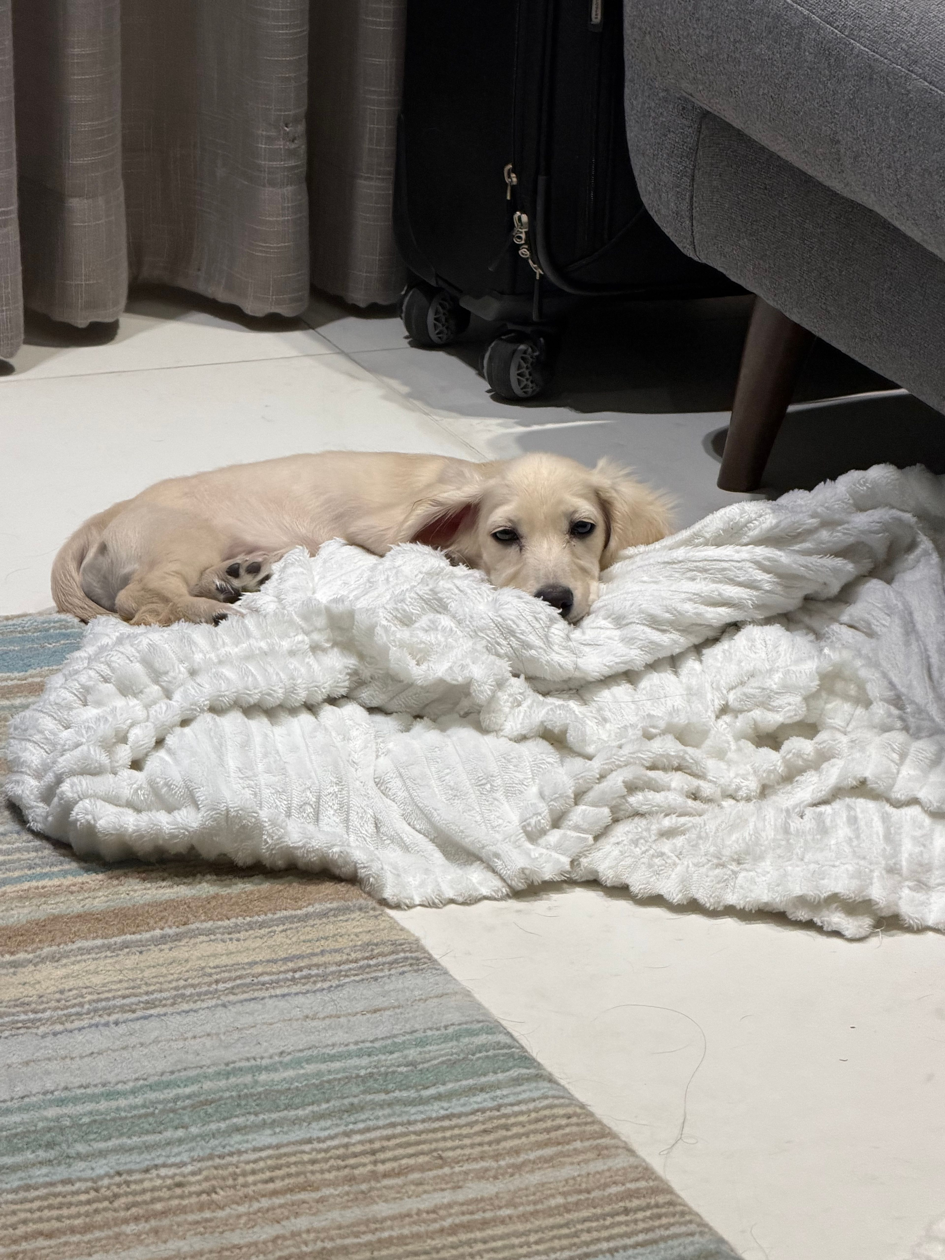 image-51