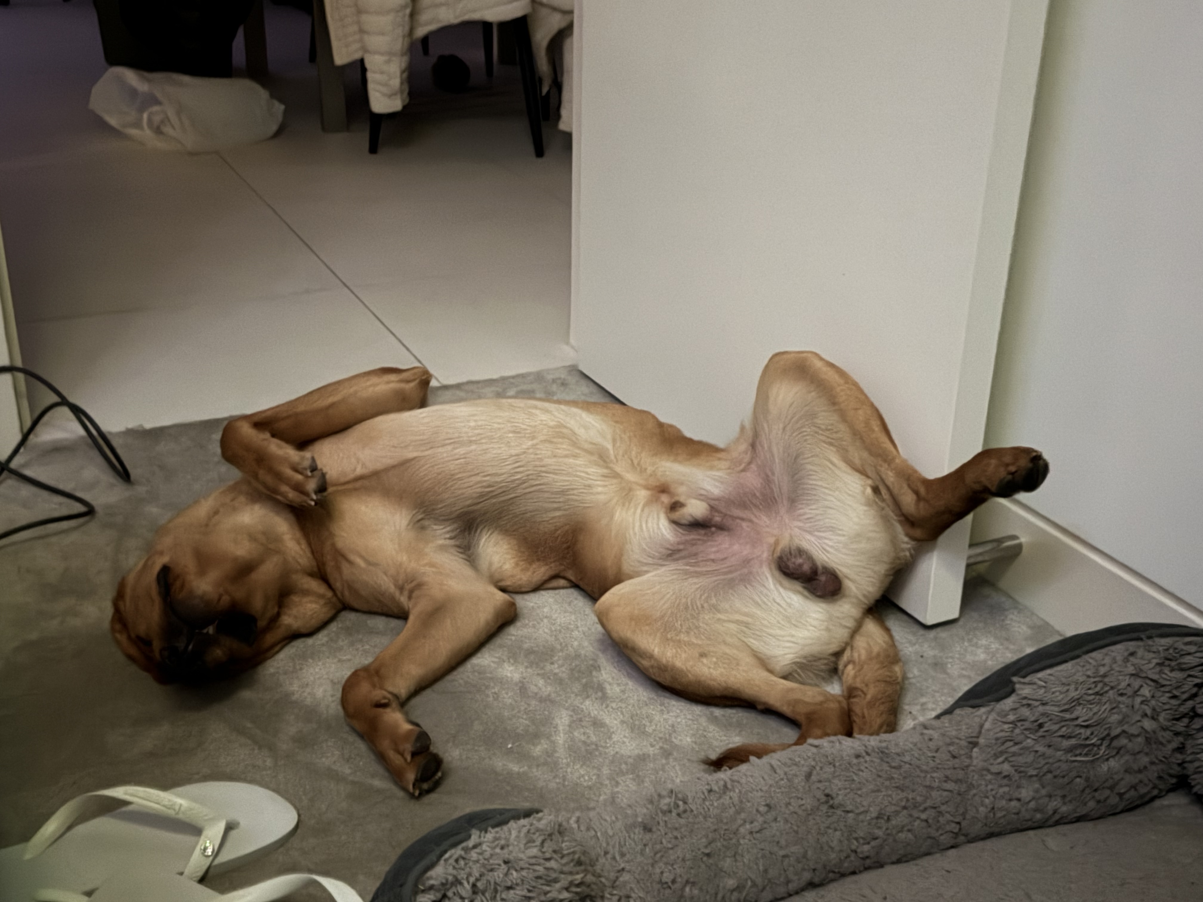 image-21