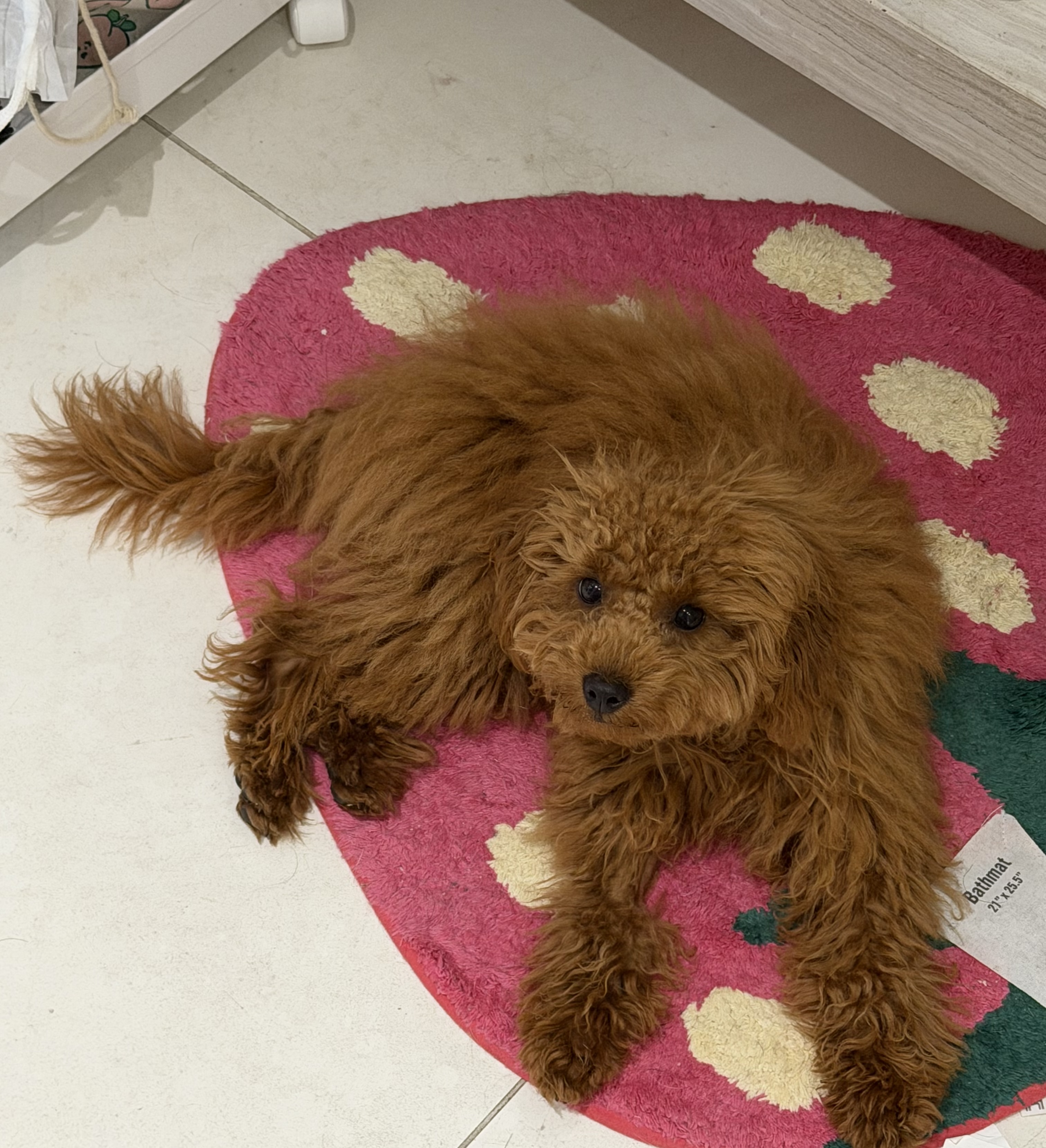 image-47