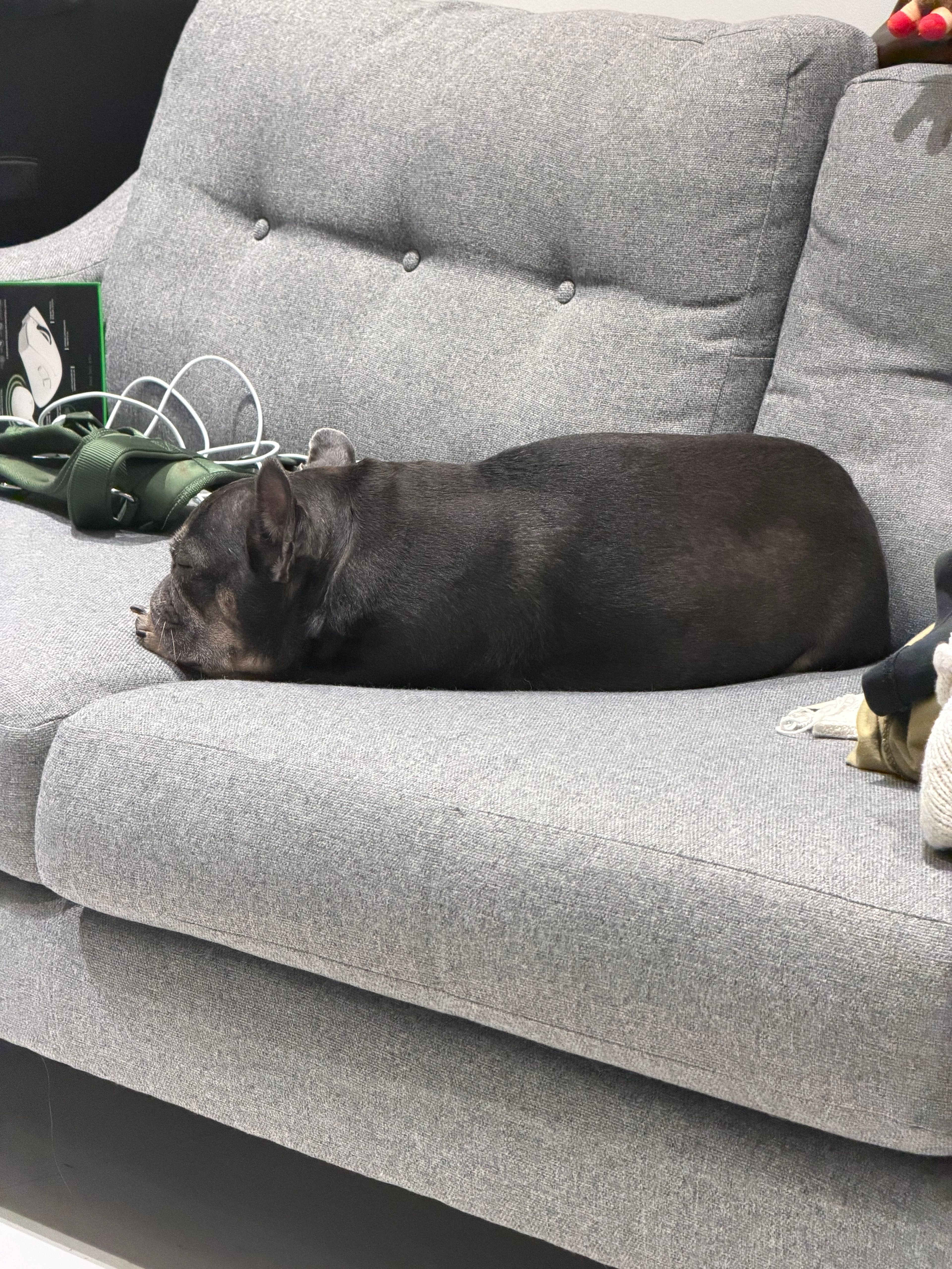 image-9