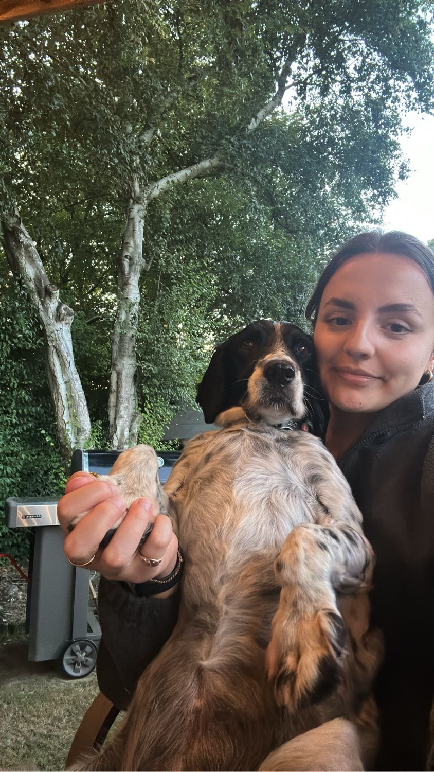 image-2