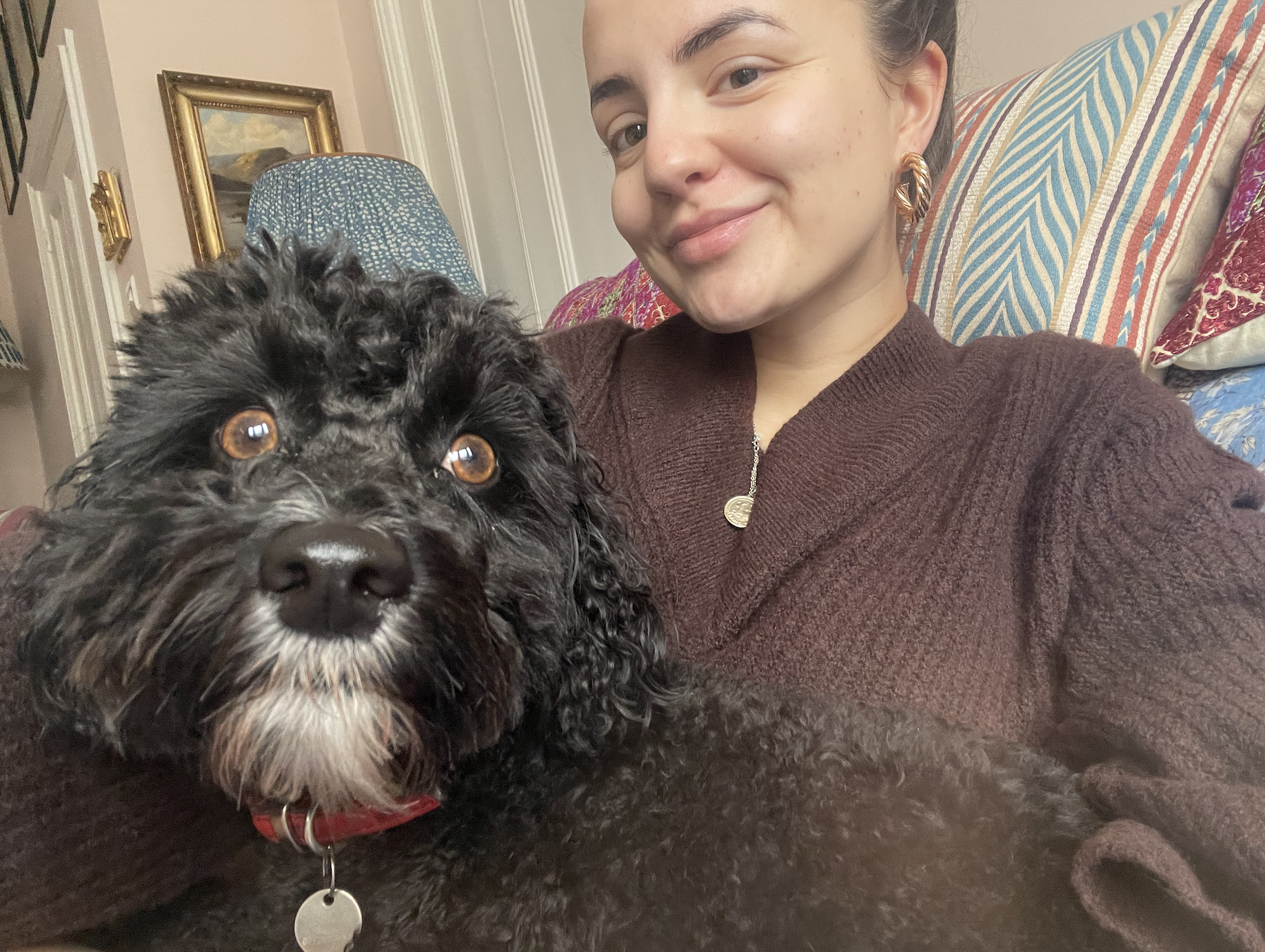 image-5