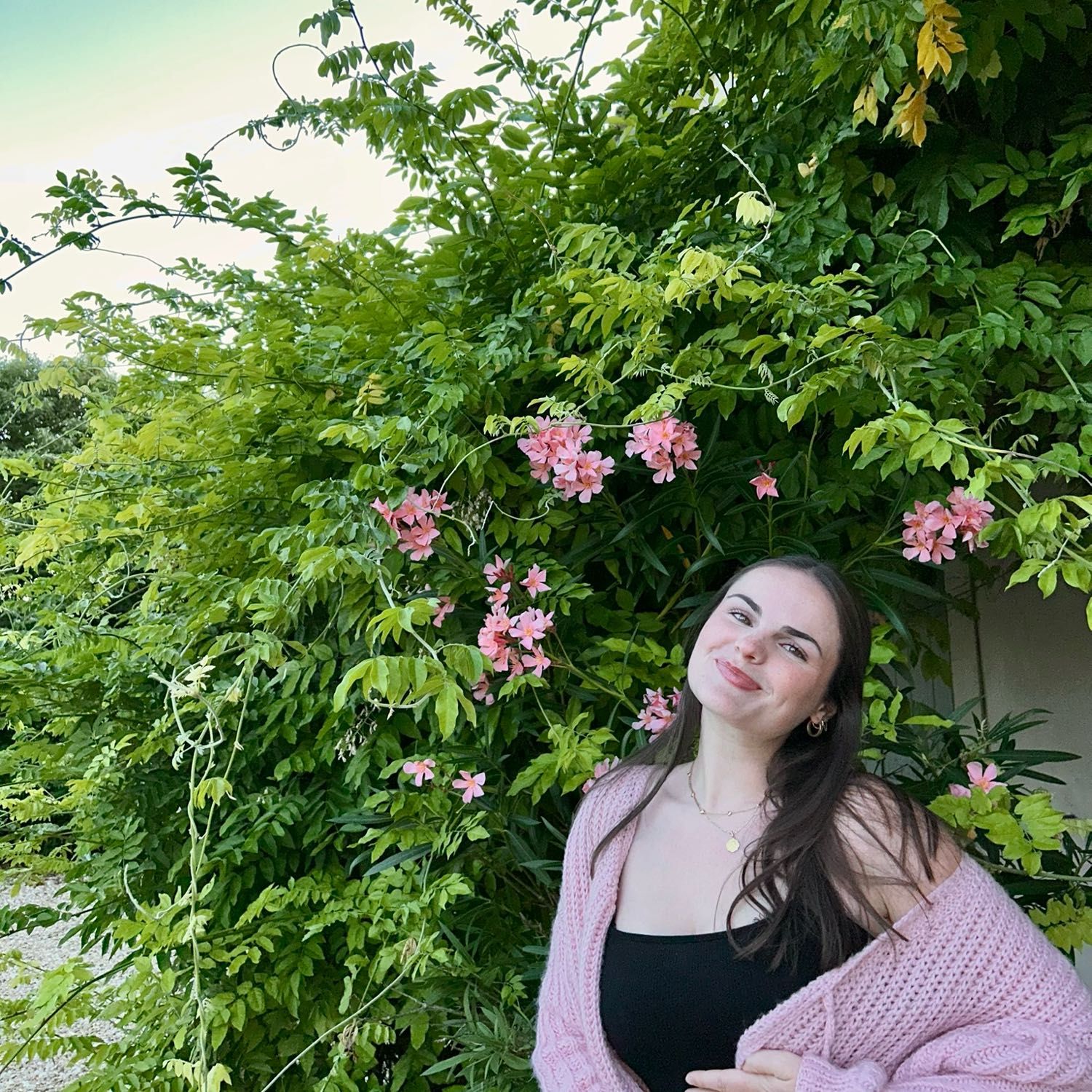 Cassandra