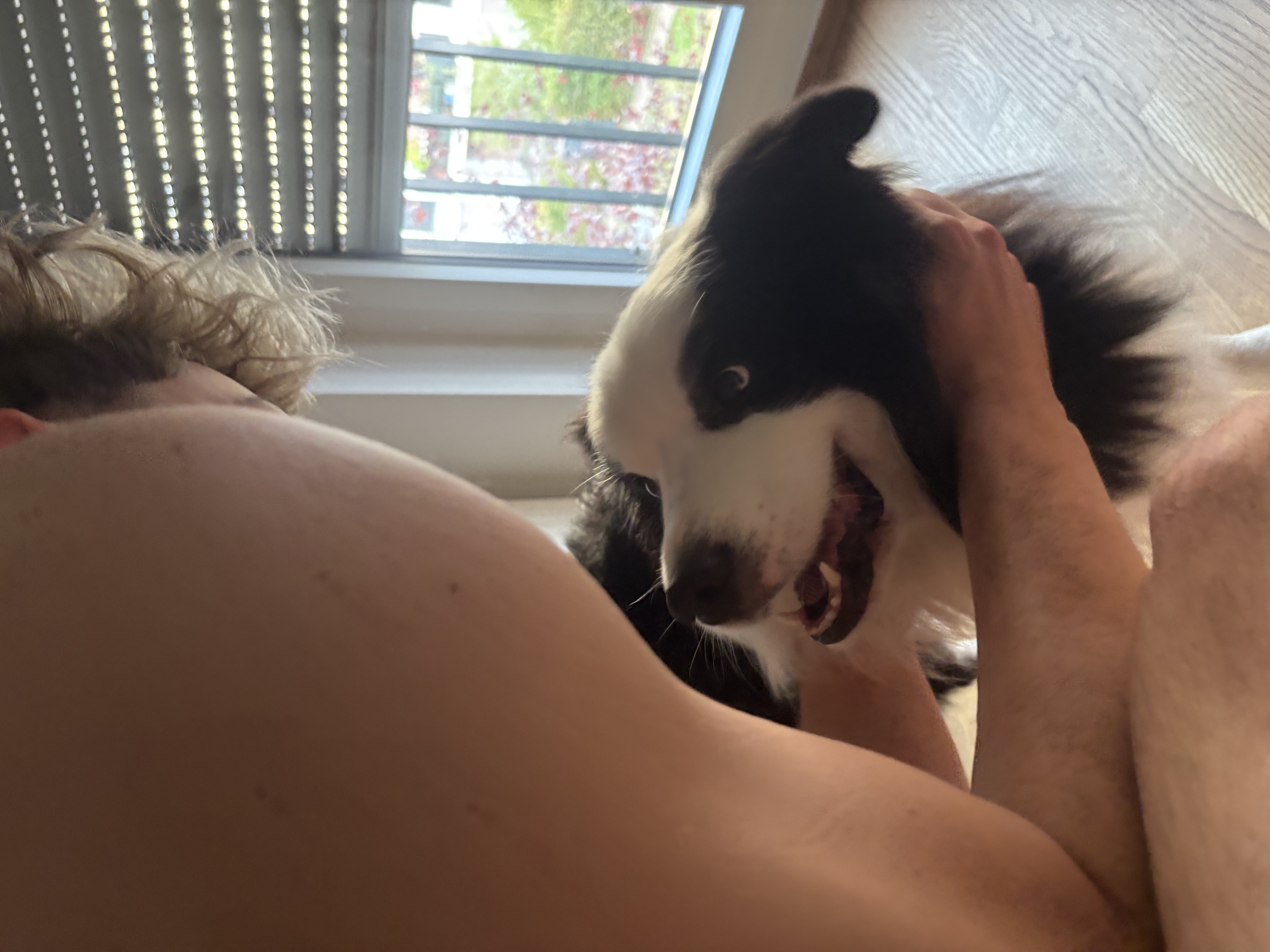 image-11