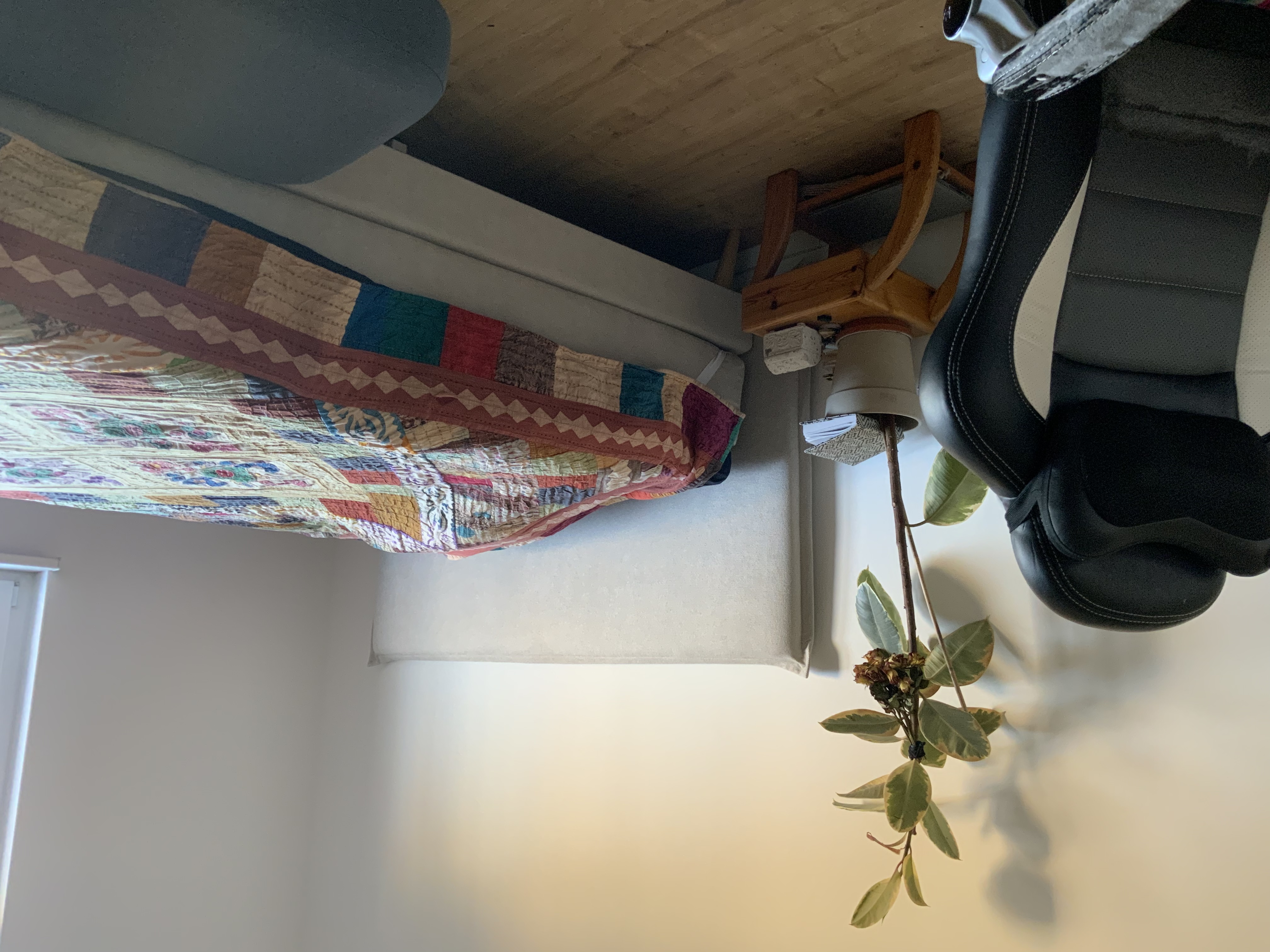 image-8