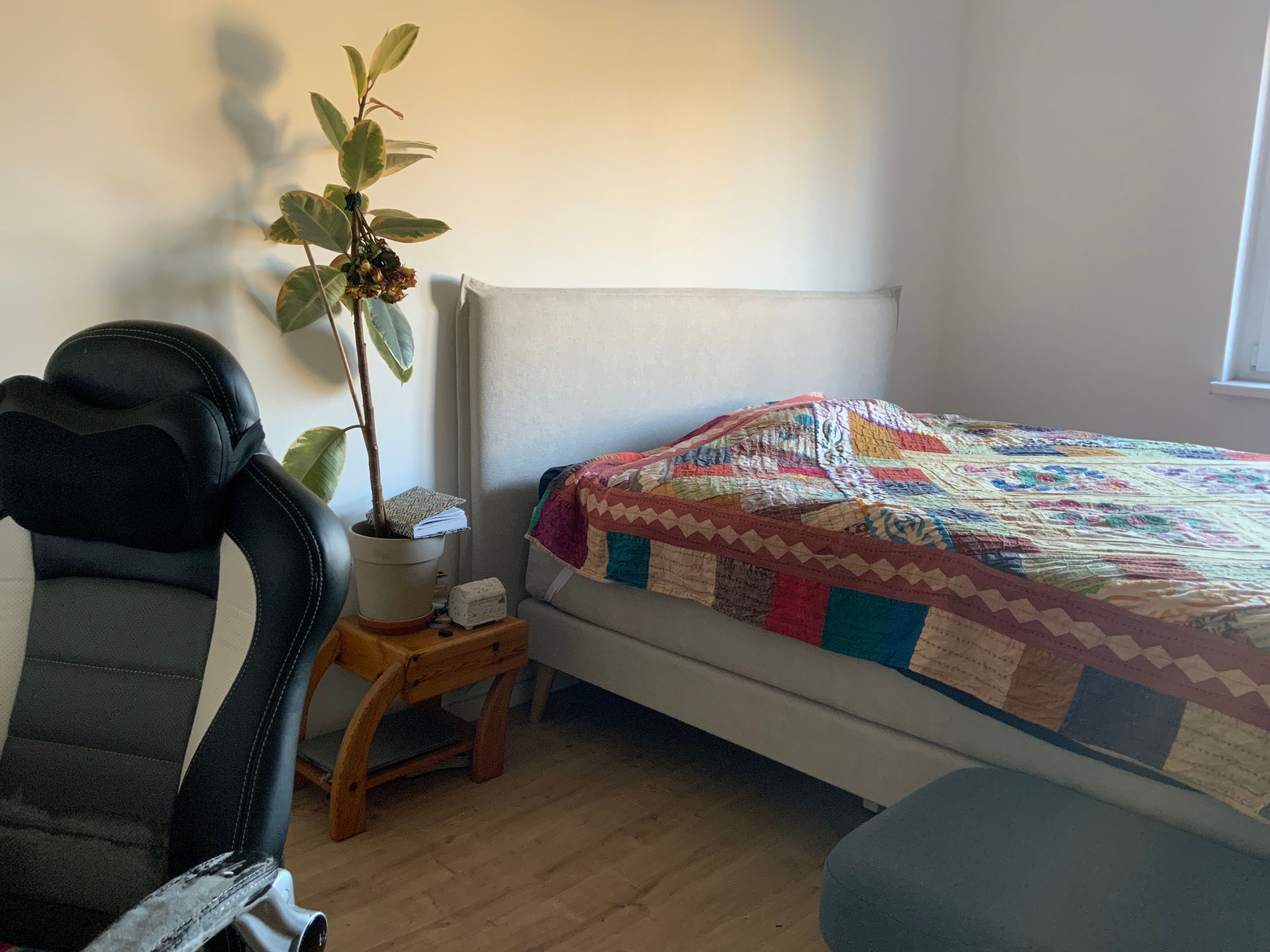 image-8