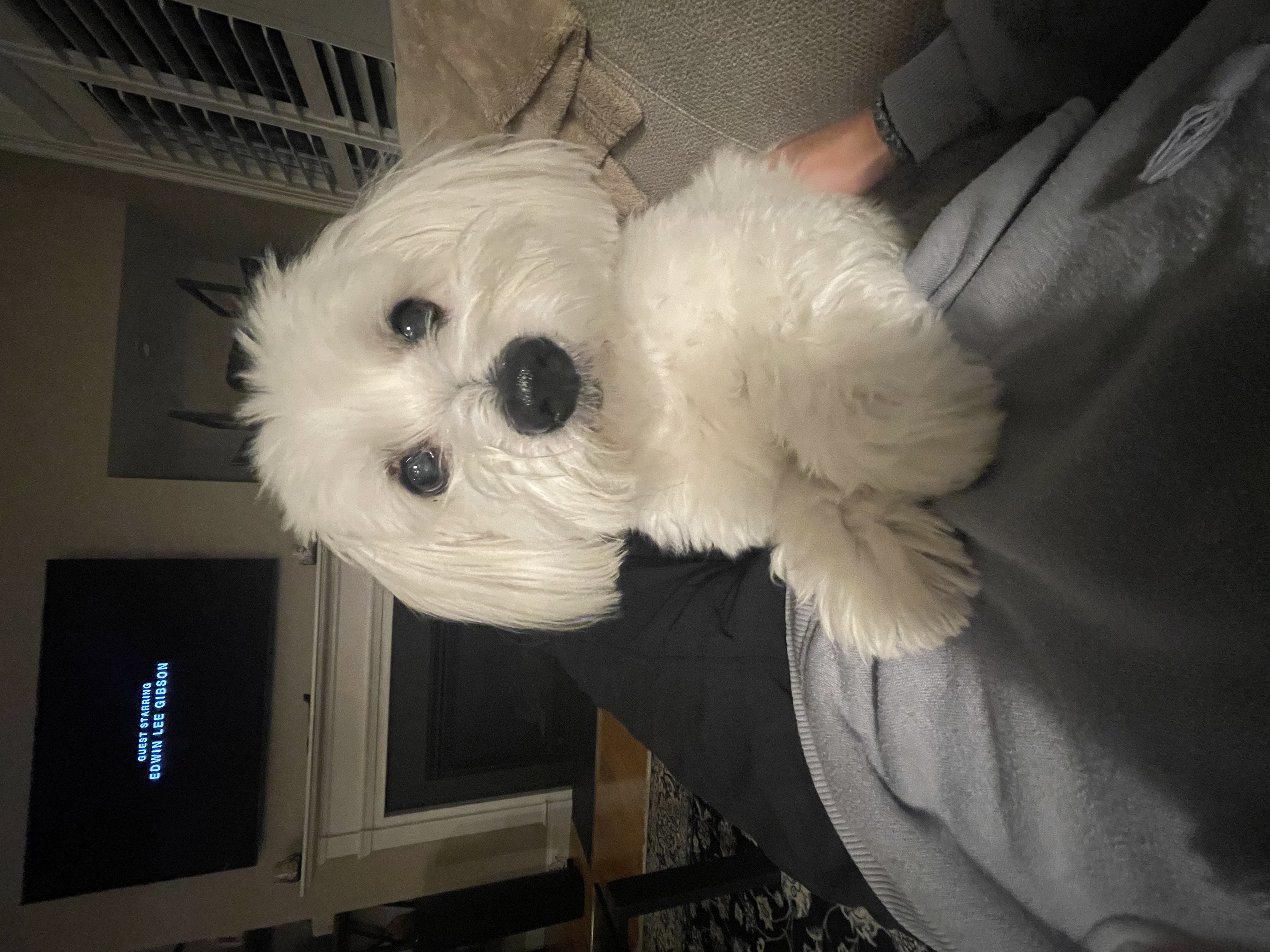 image-8