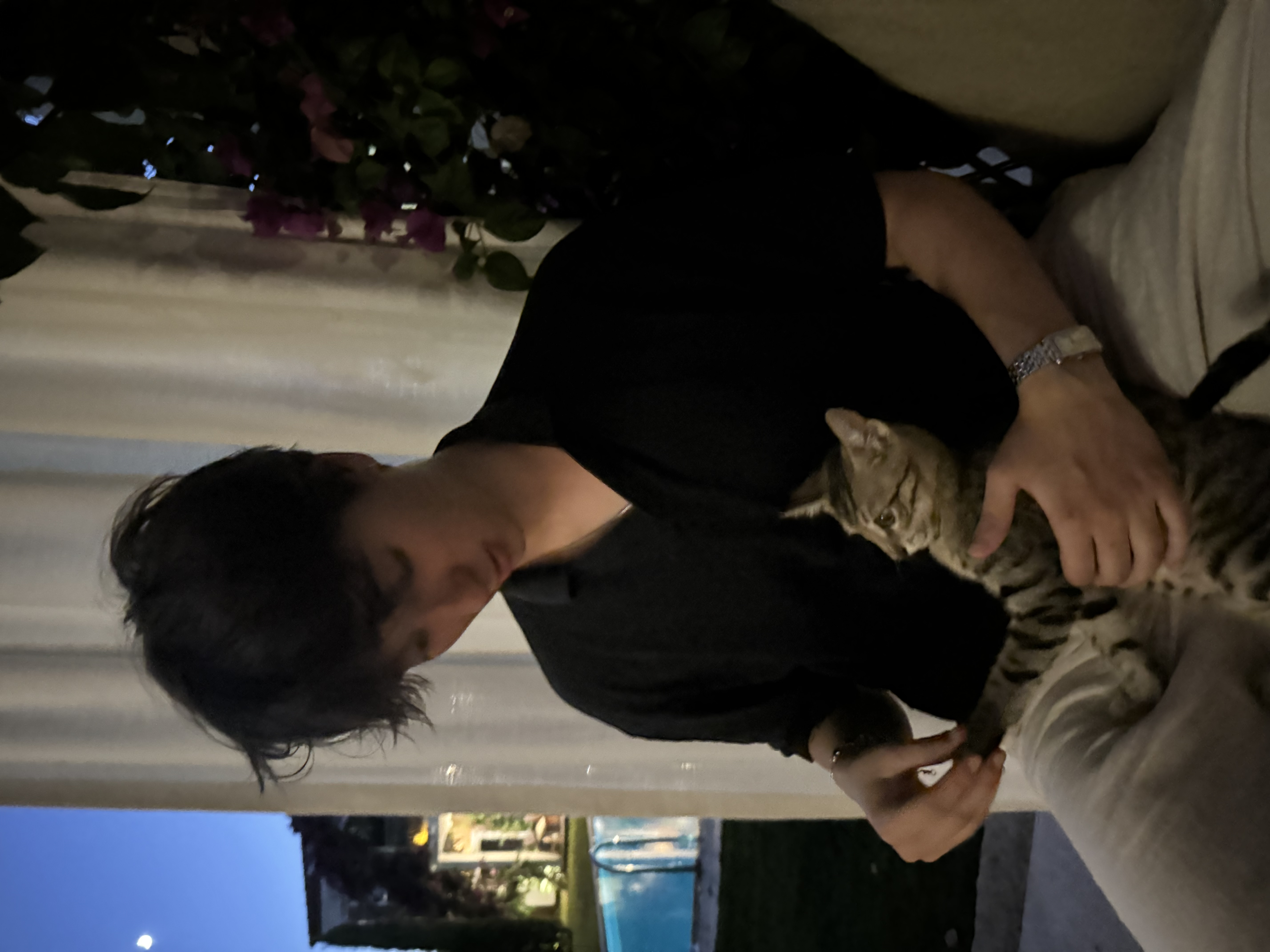 image-8