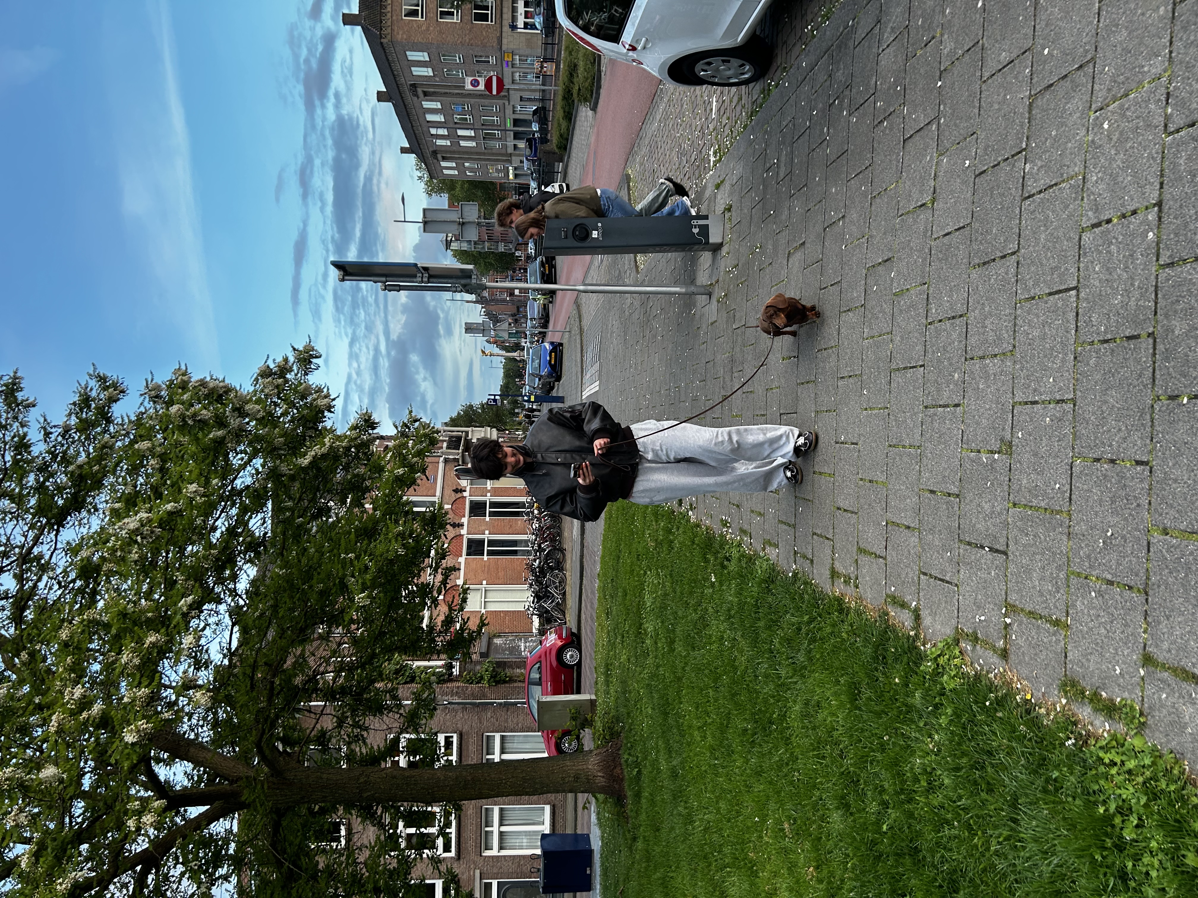 image-10