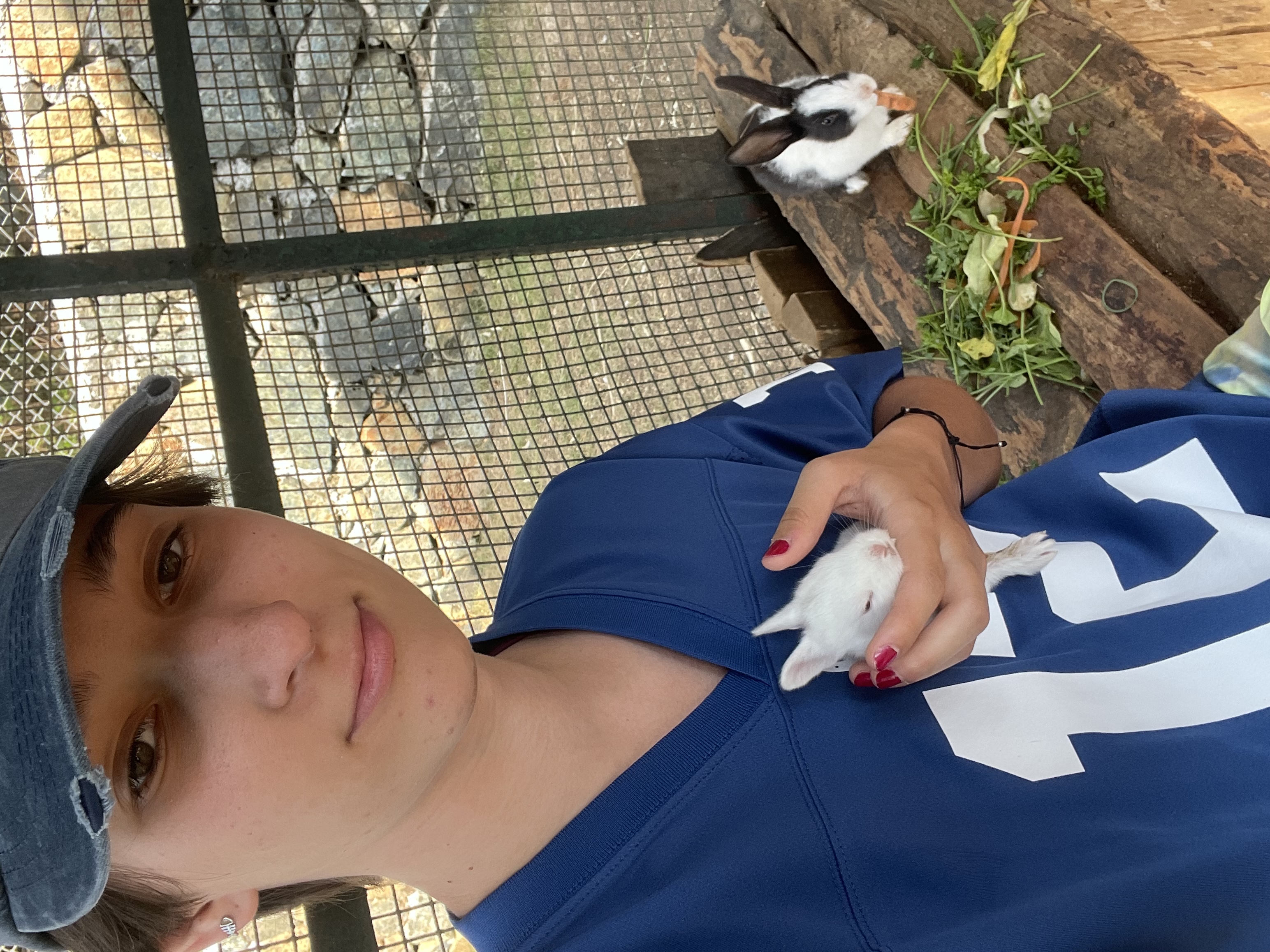 image-7