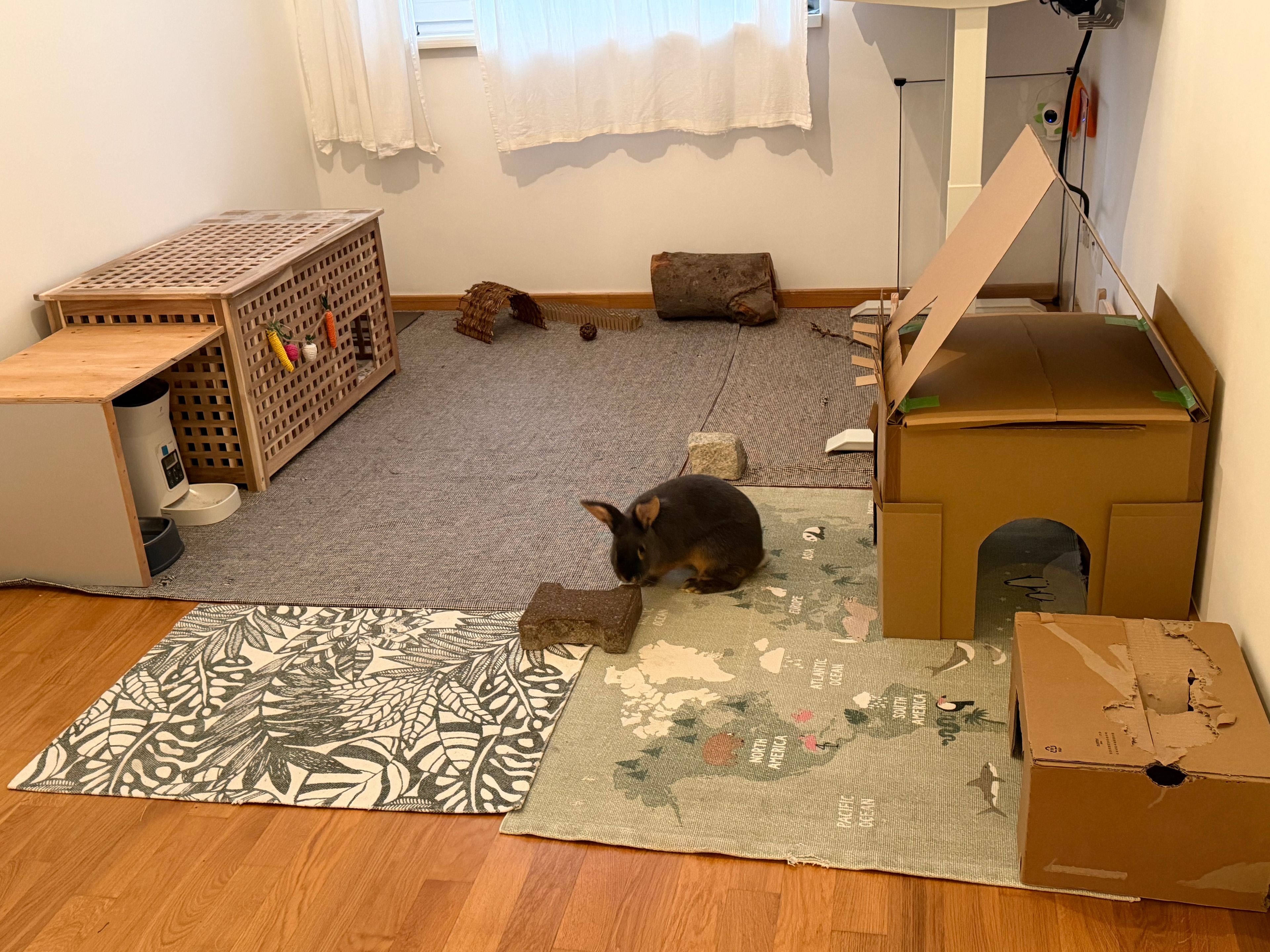 image-6