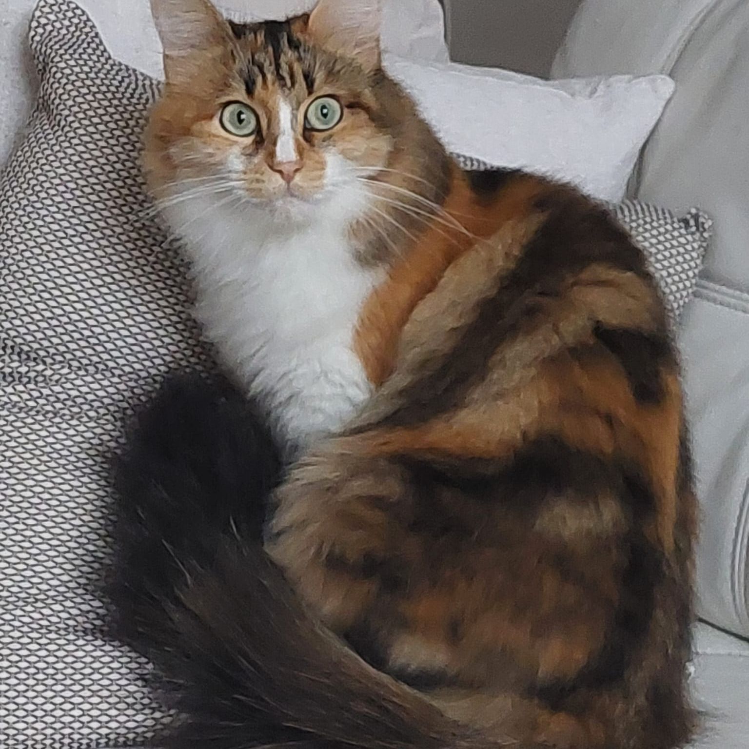 Kira