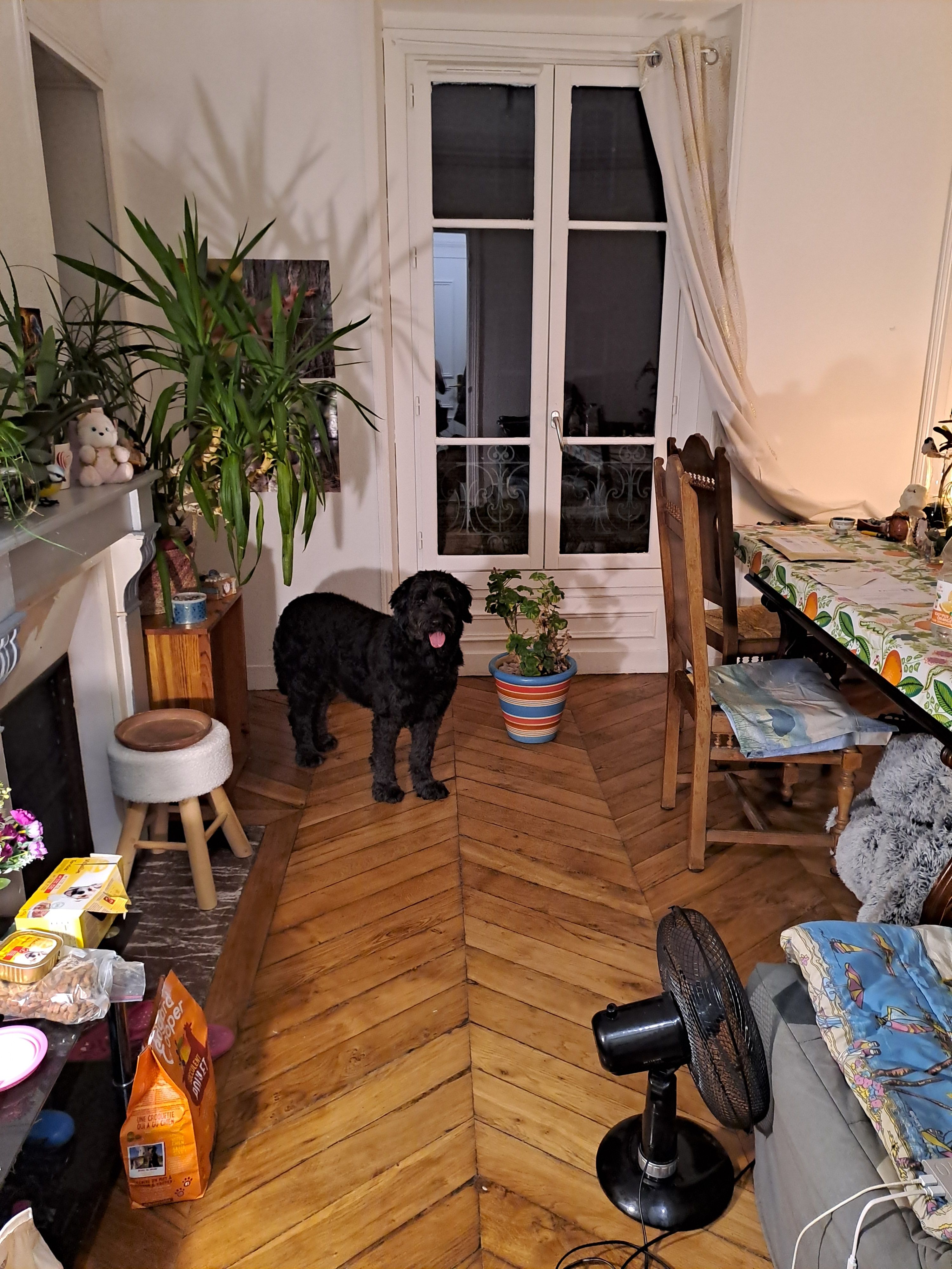 image-52