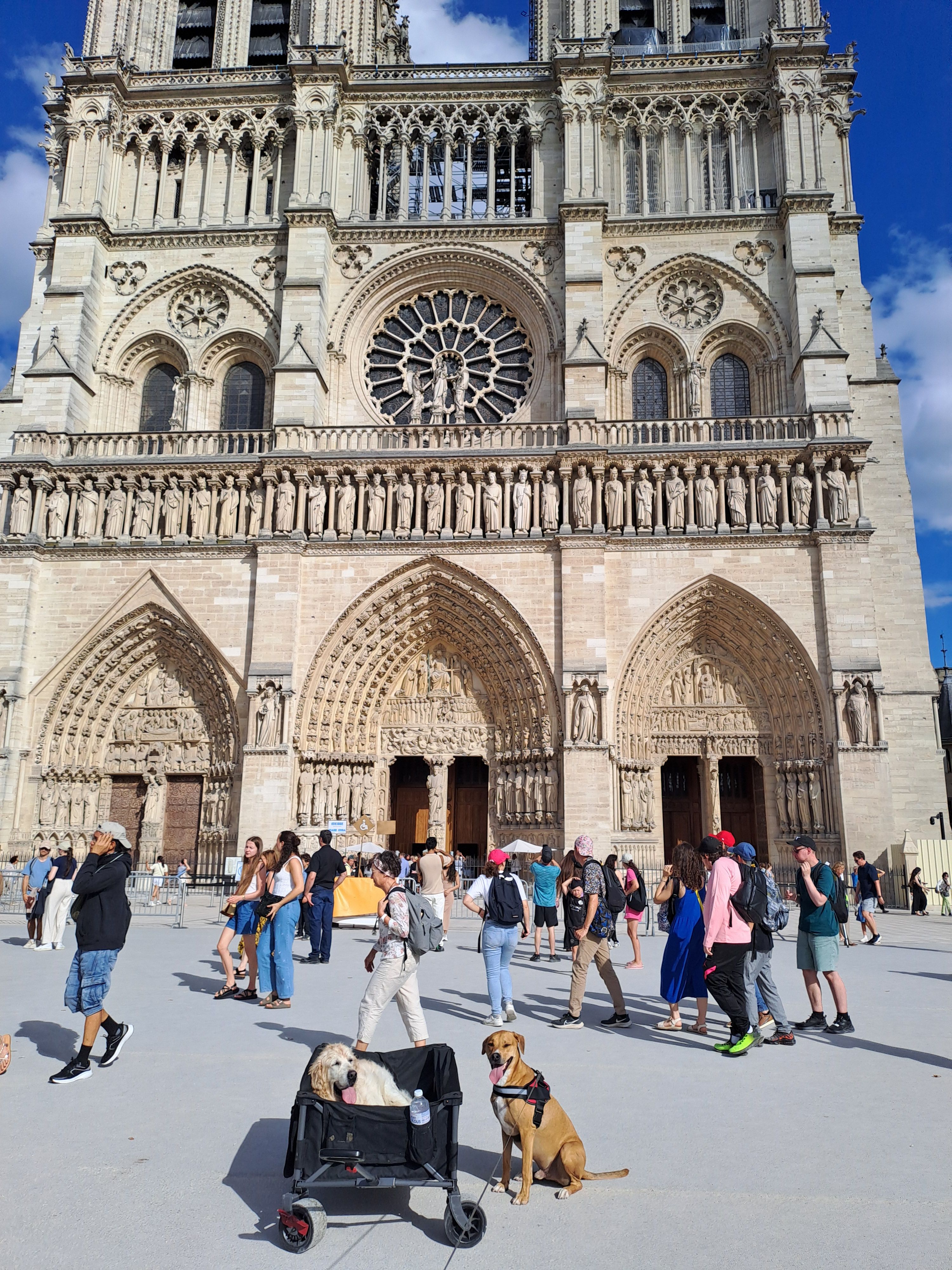 image-18