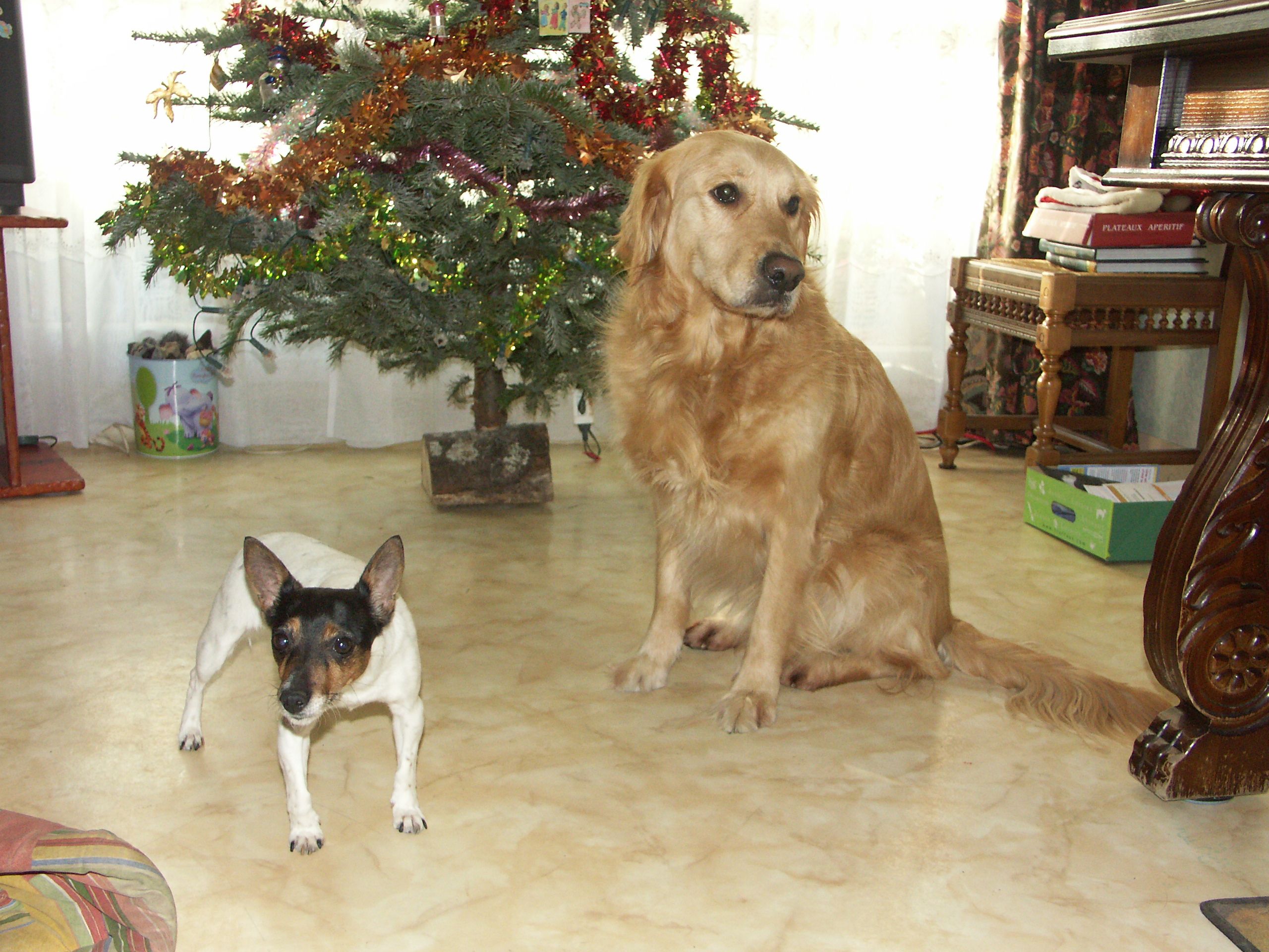 image-62