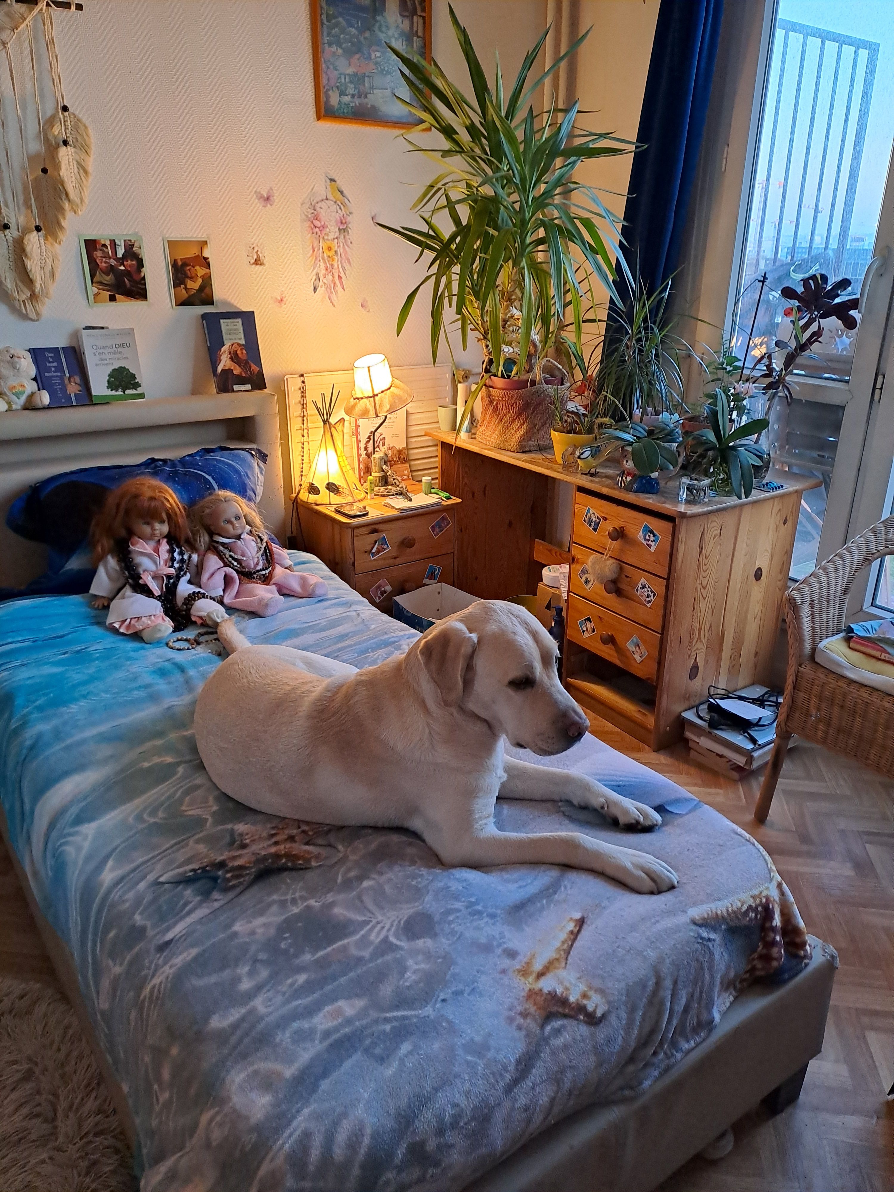 image-33