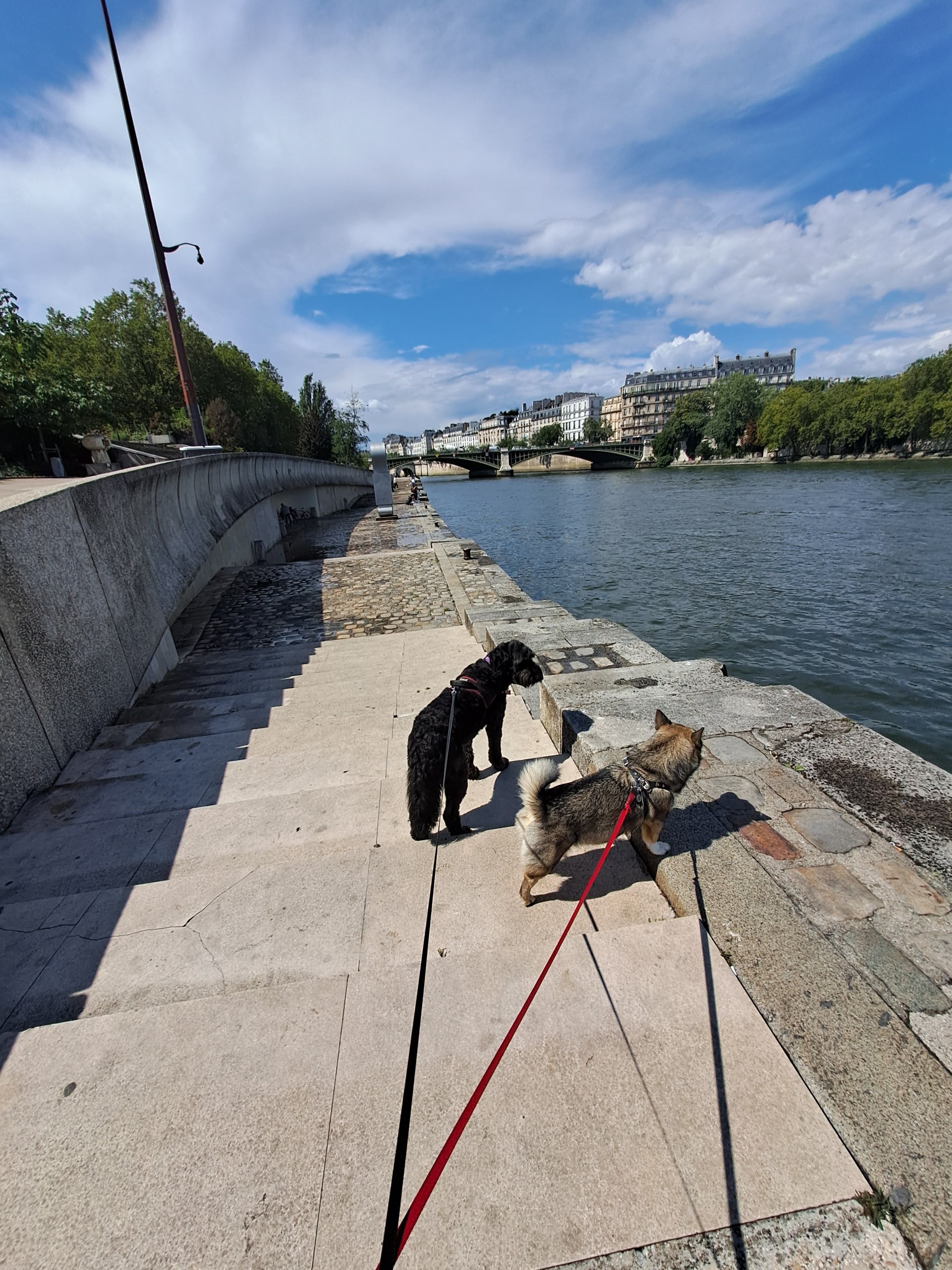 image-27