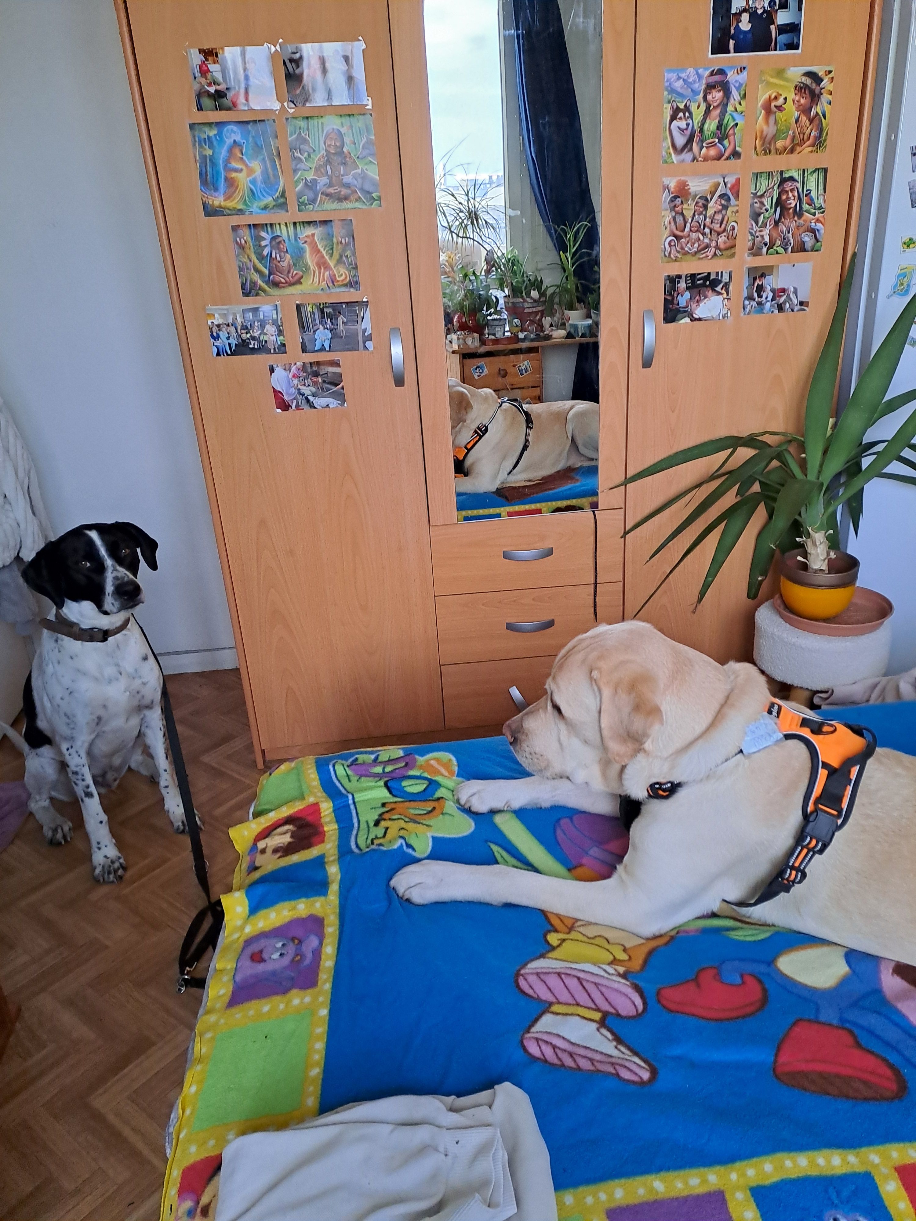 image-19