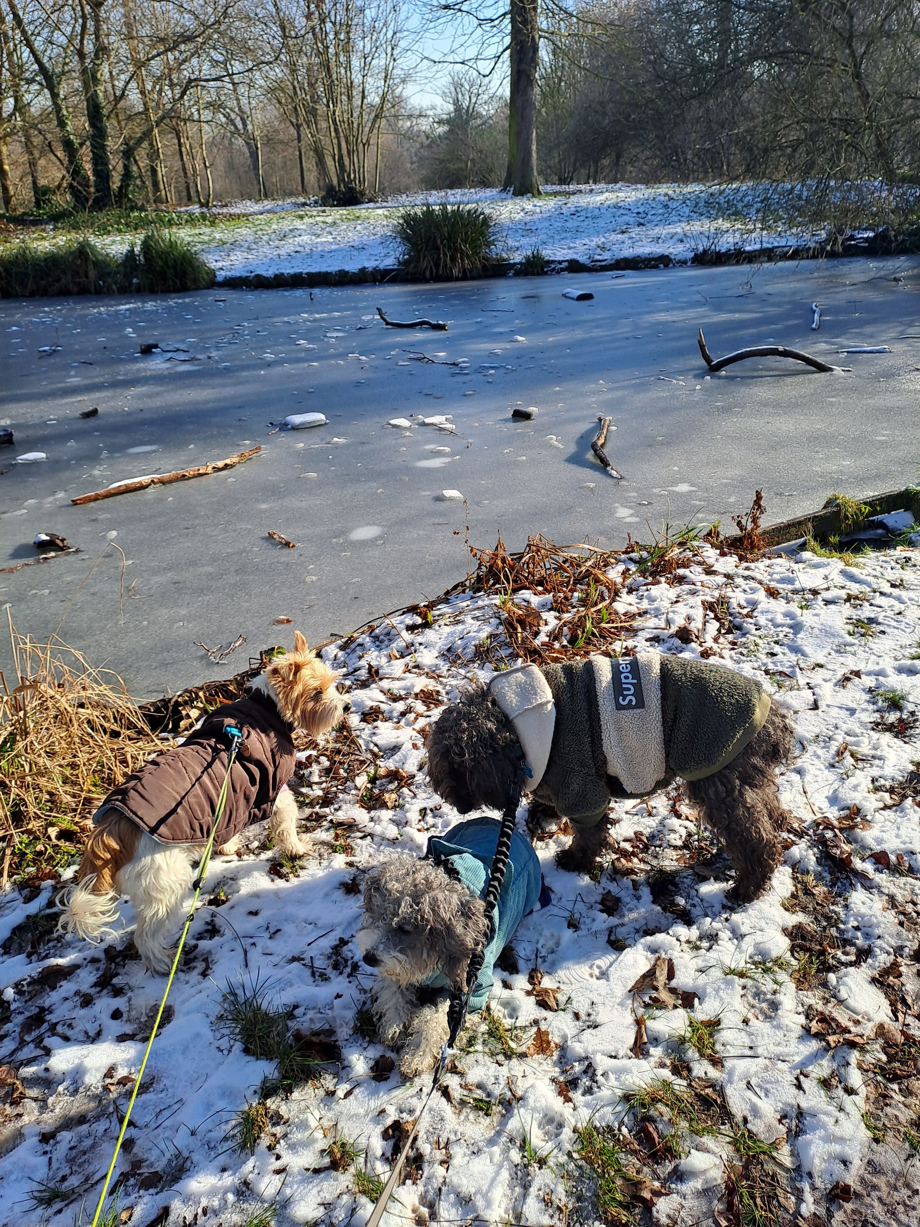 image-48