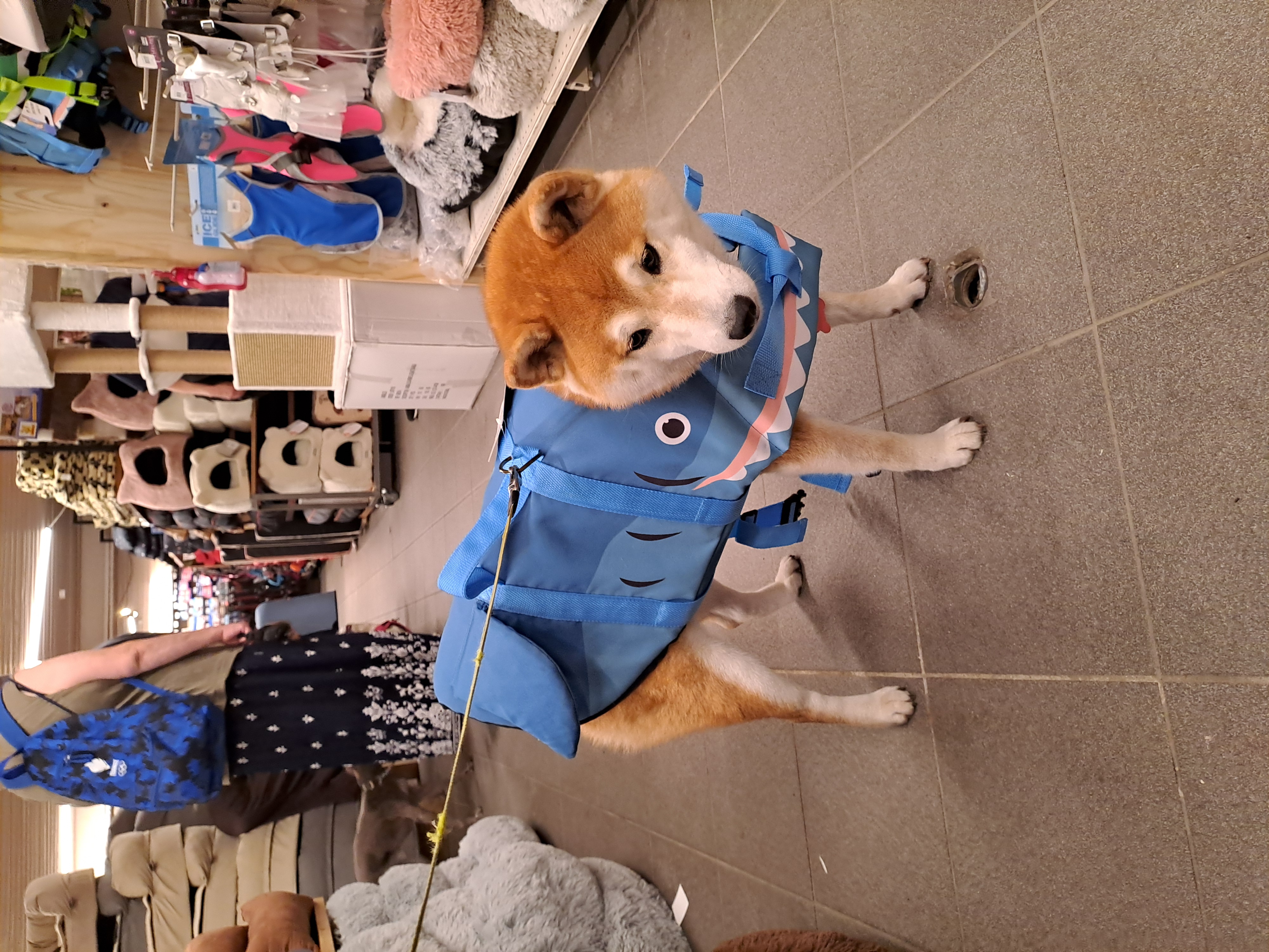 image-100