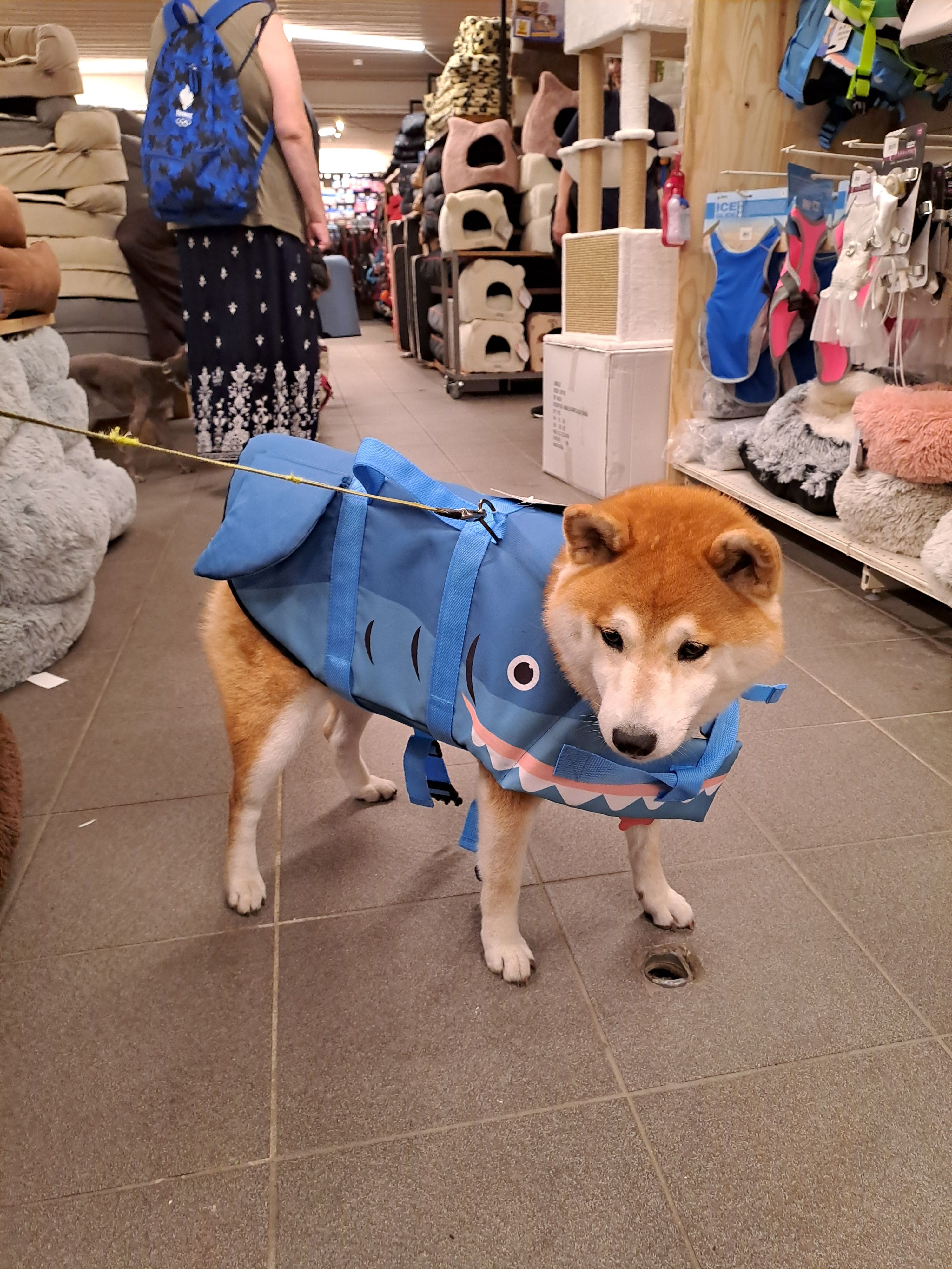 image-100