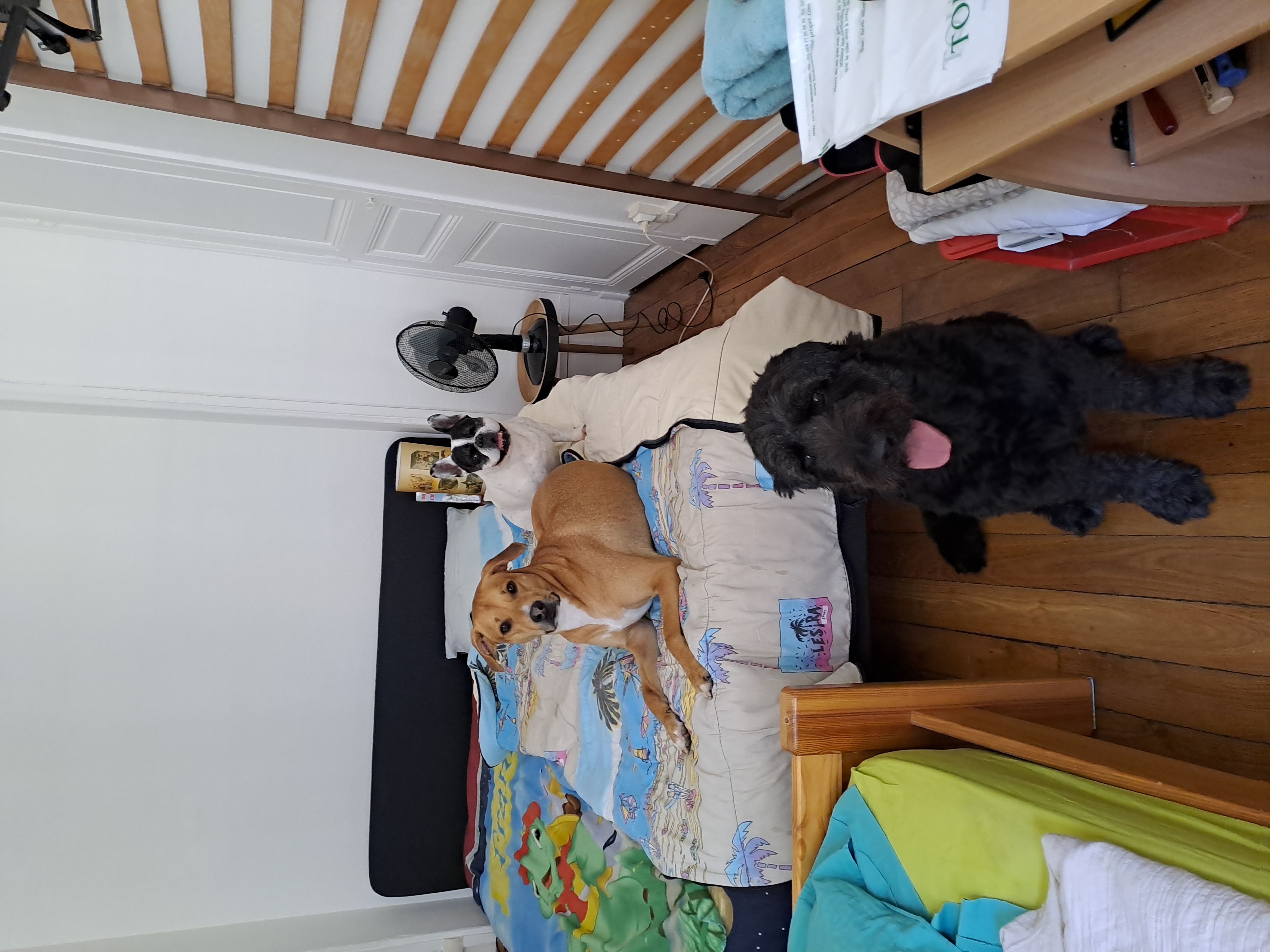 image-51