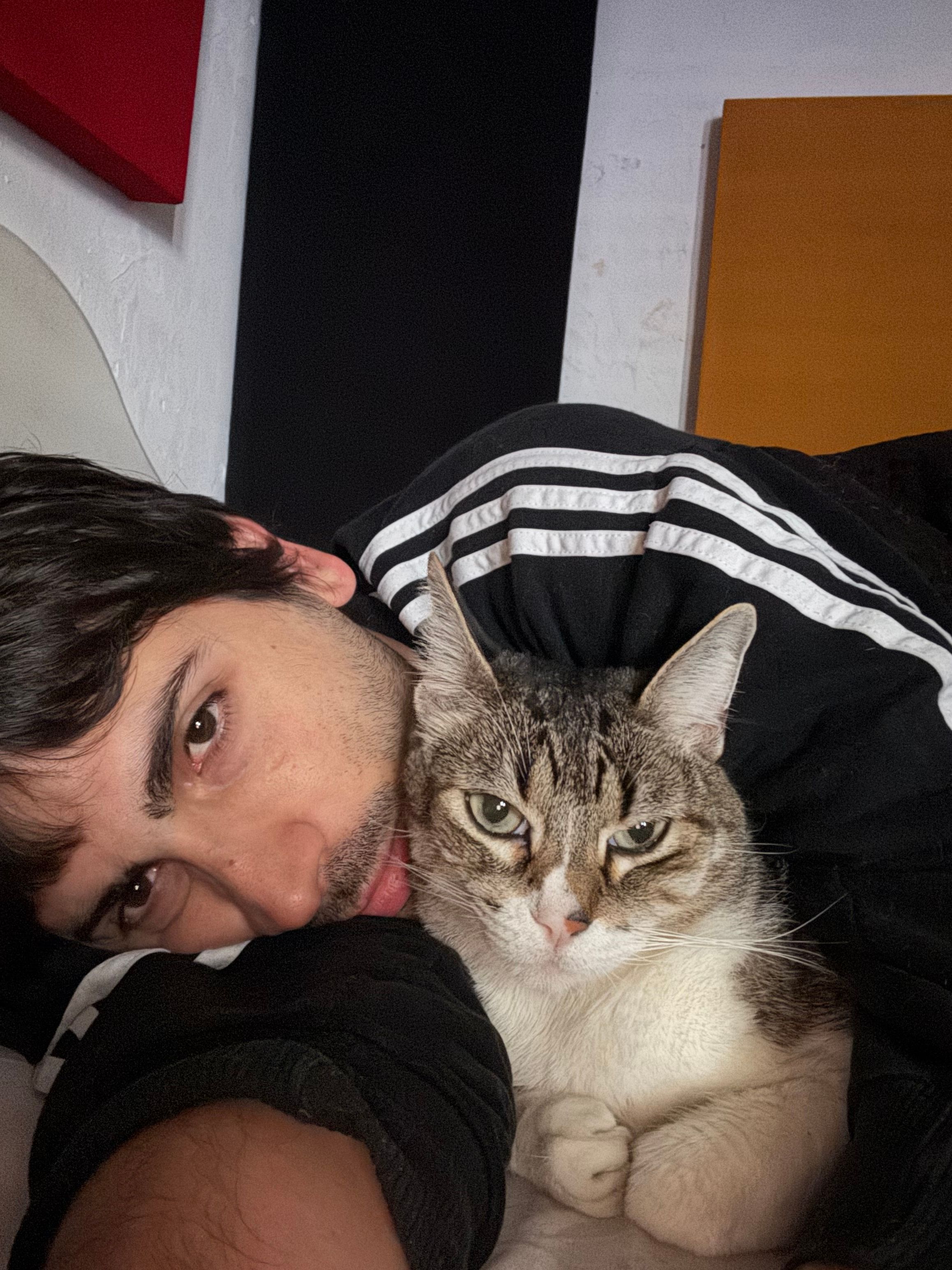 image-5