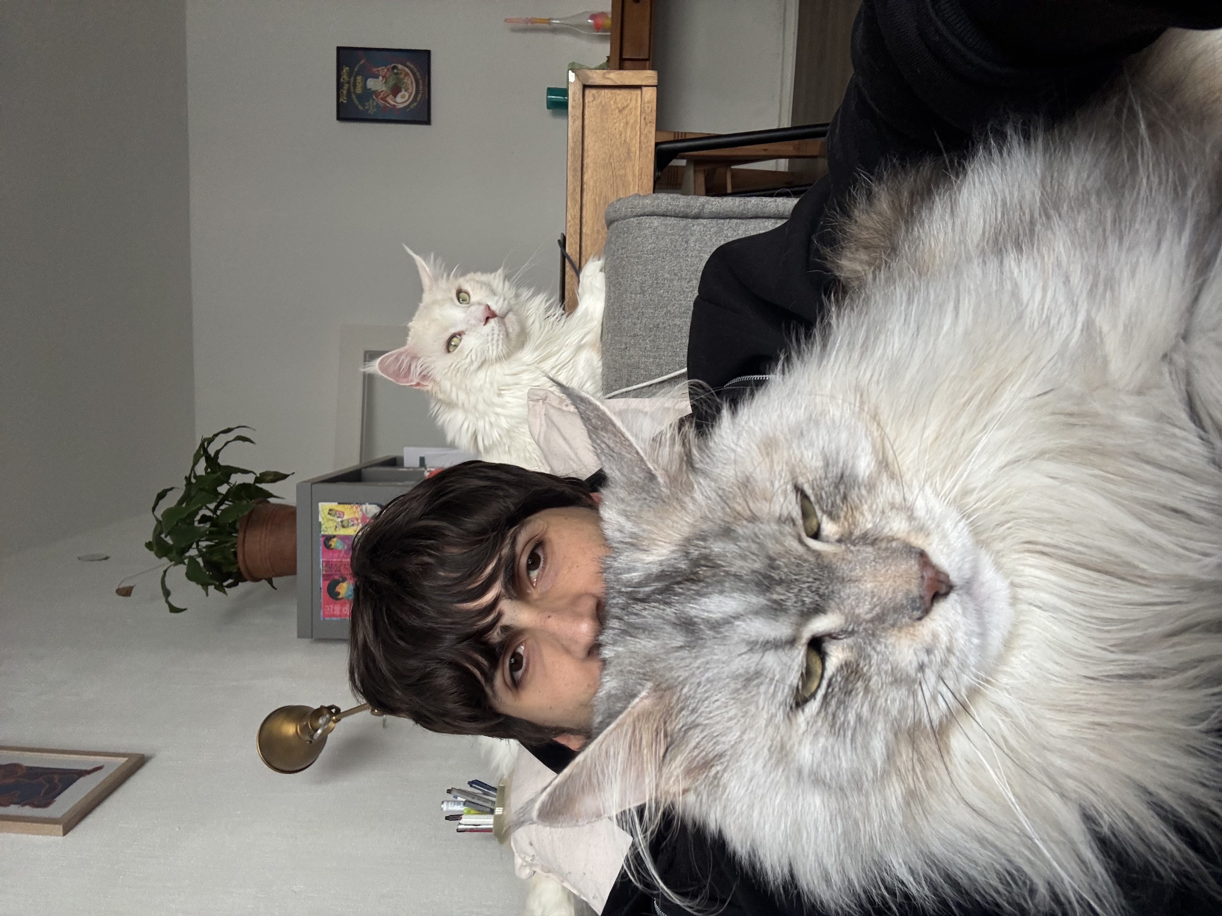 image-6