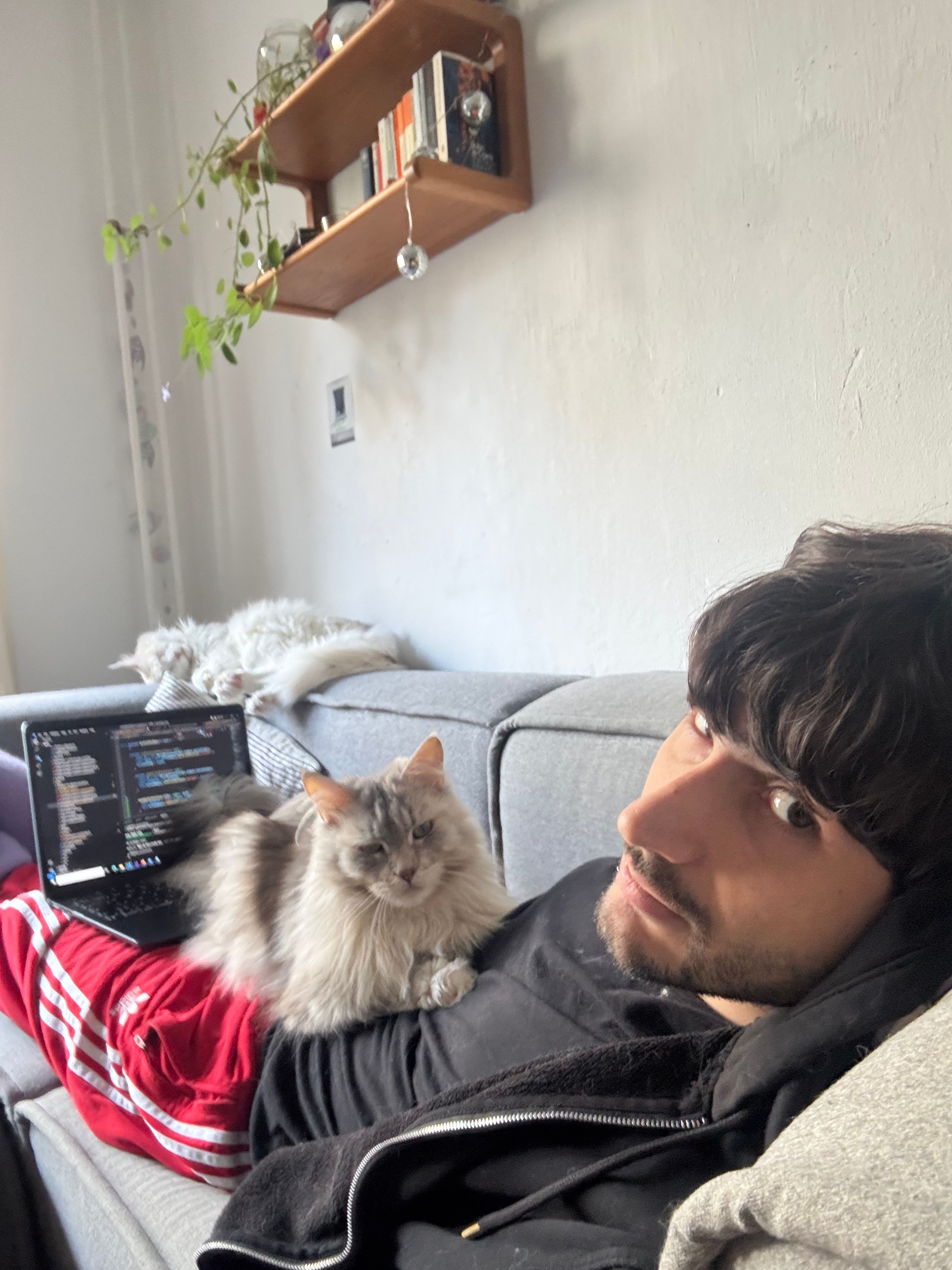 image-1