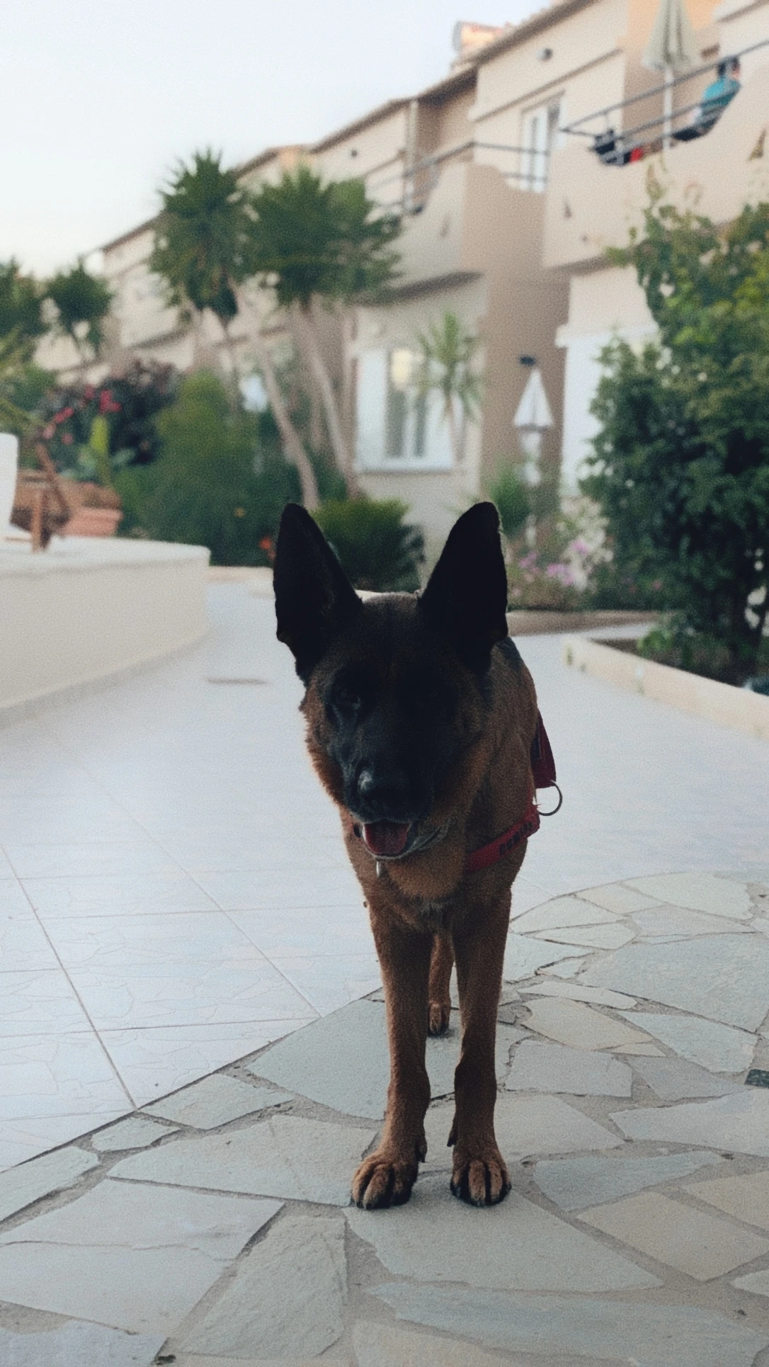 image-12