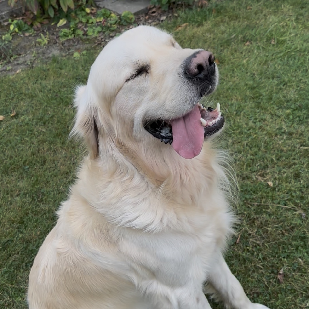 Casper 