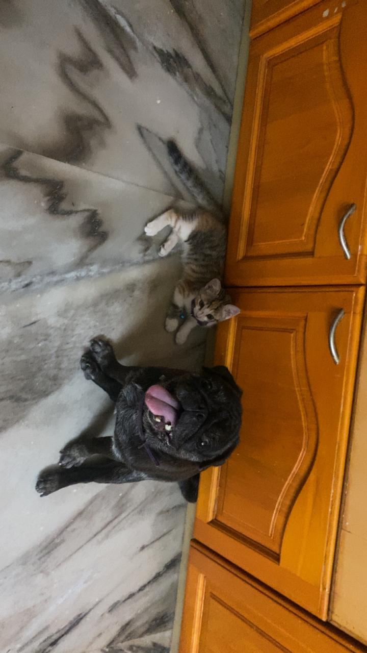 image-5