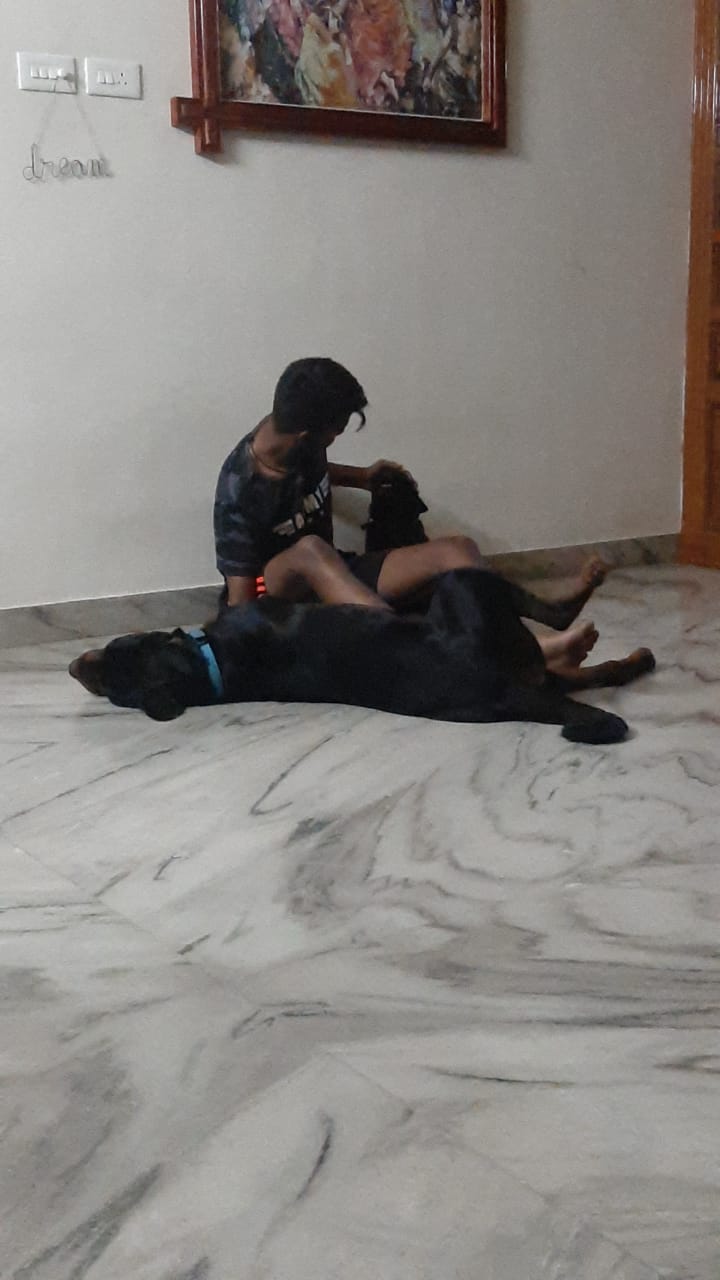 image-7