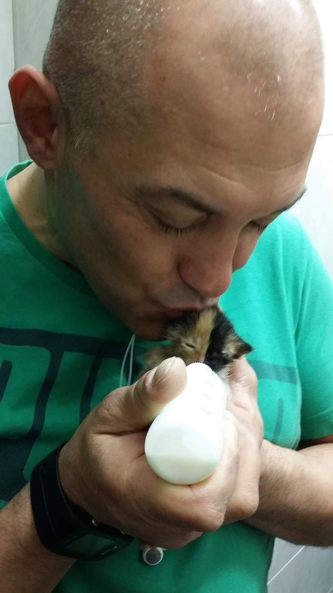 image-3