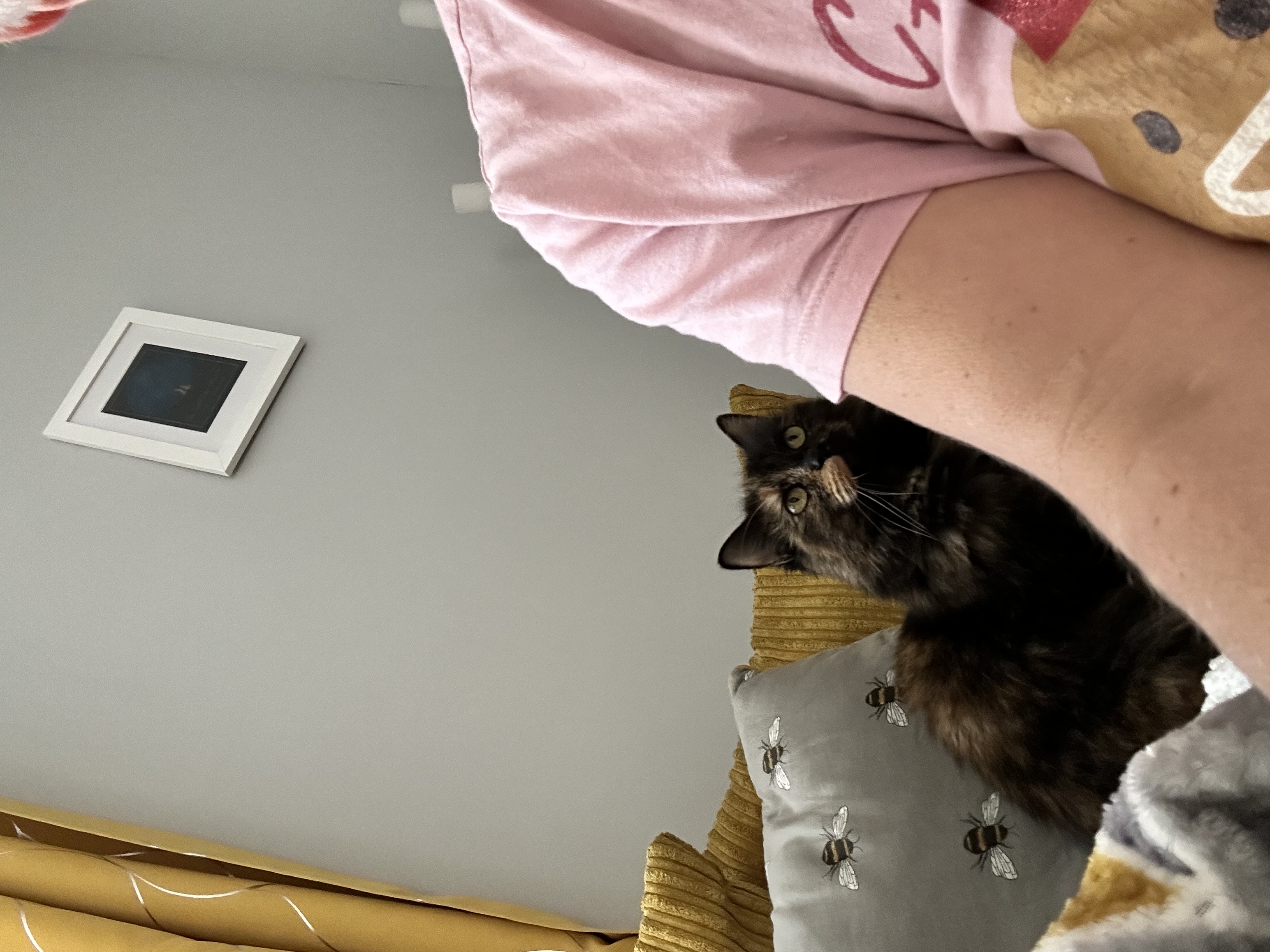 image-13