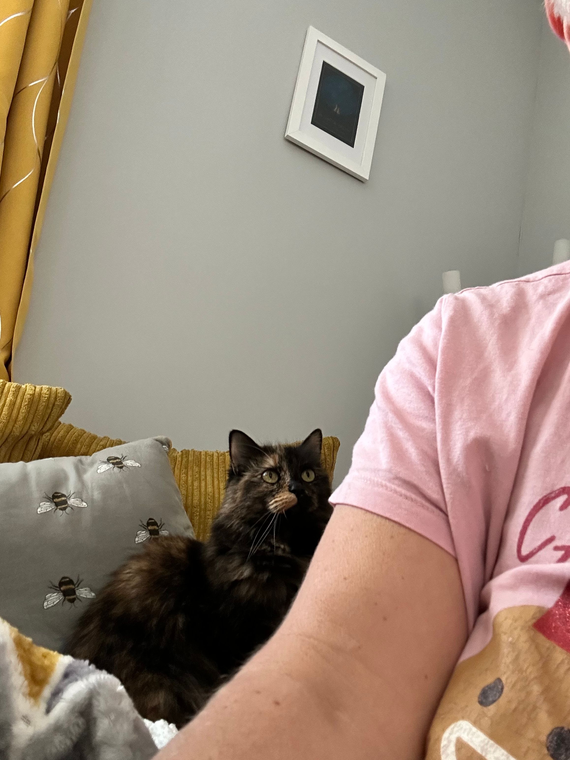 image-13