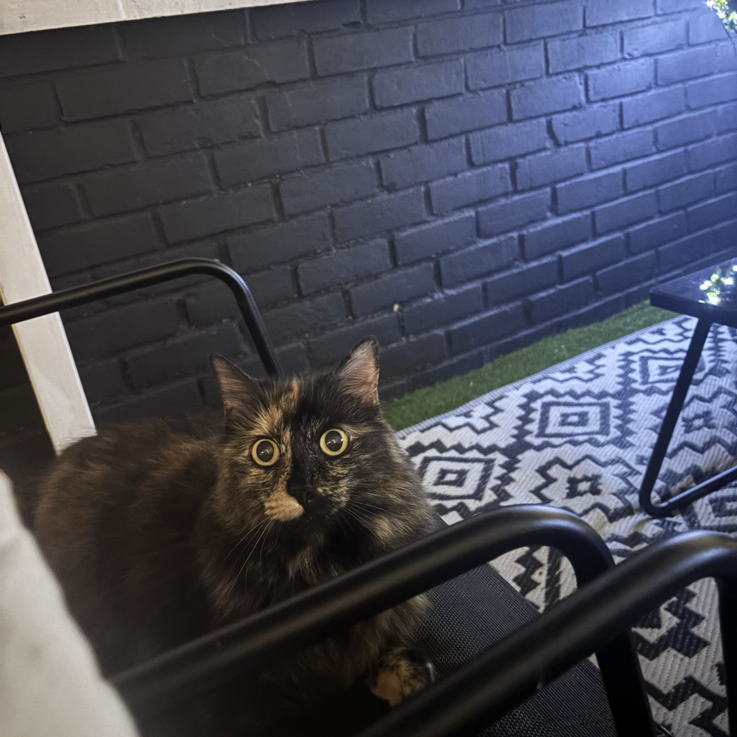 Nala 