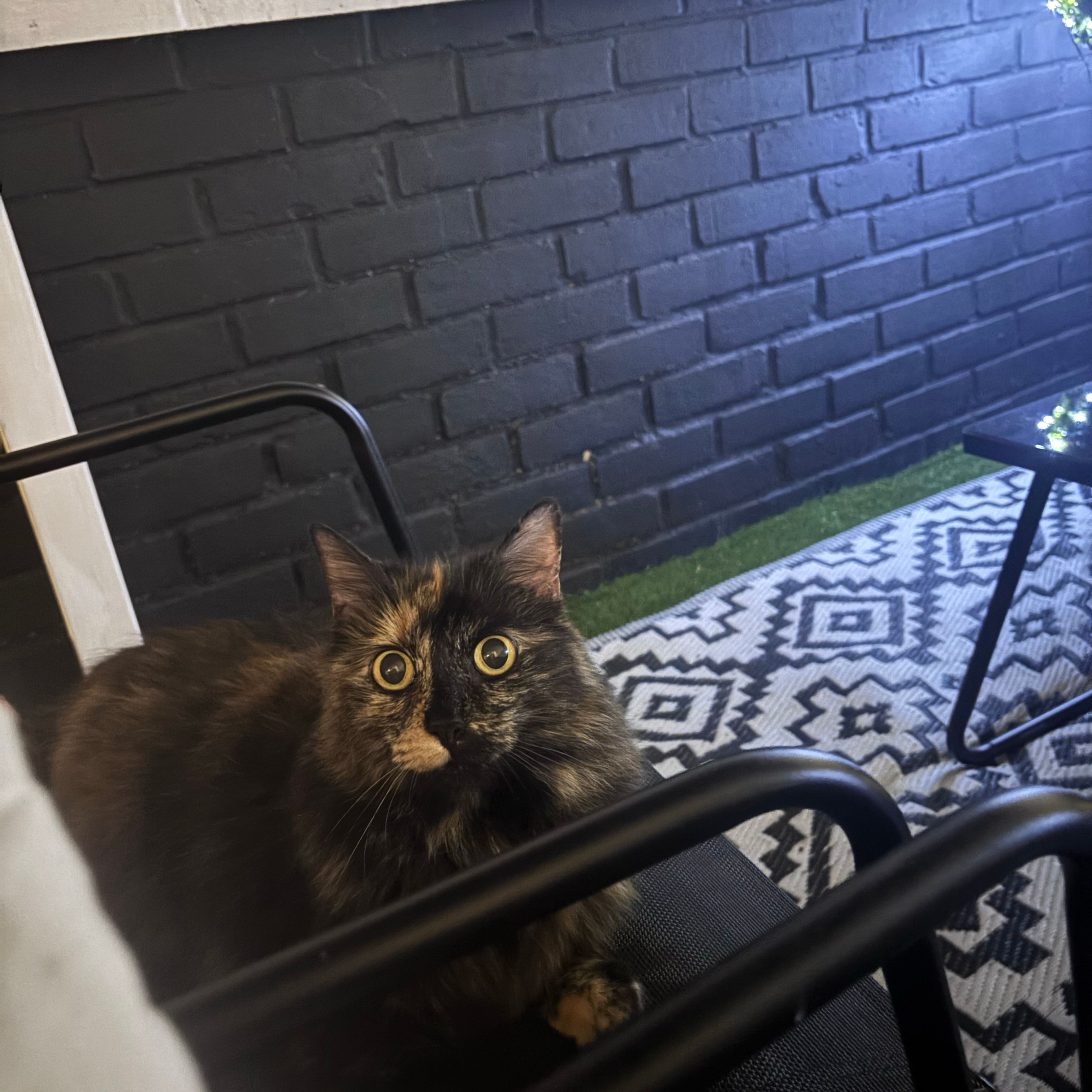Nala