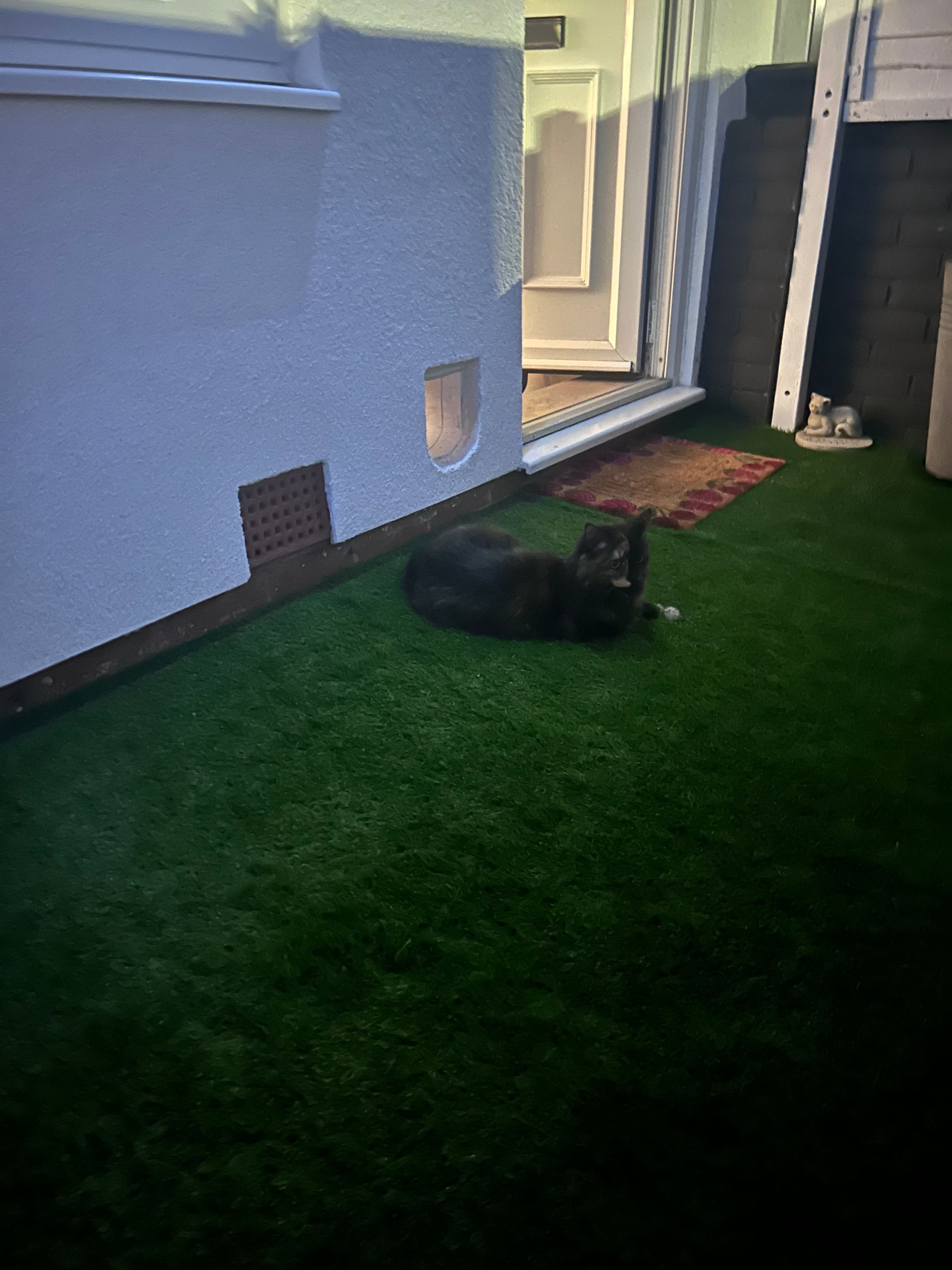 image-18