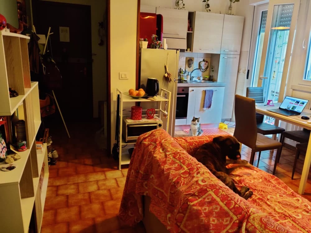 image-5