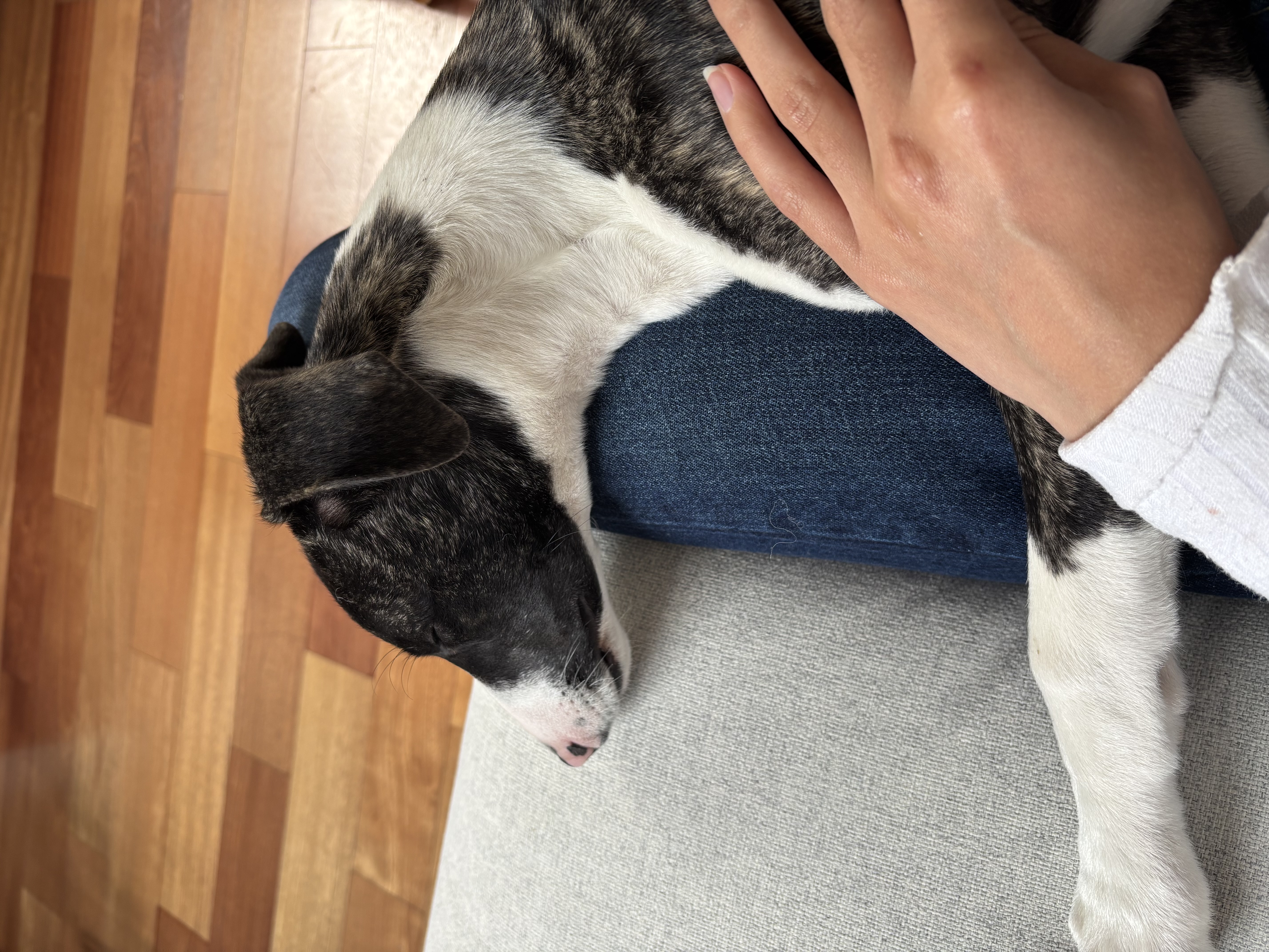 image-6