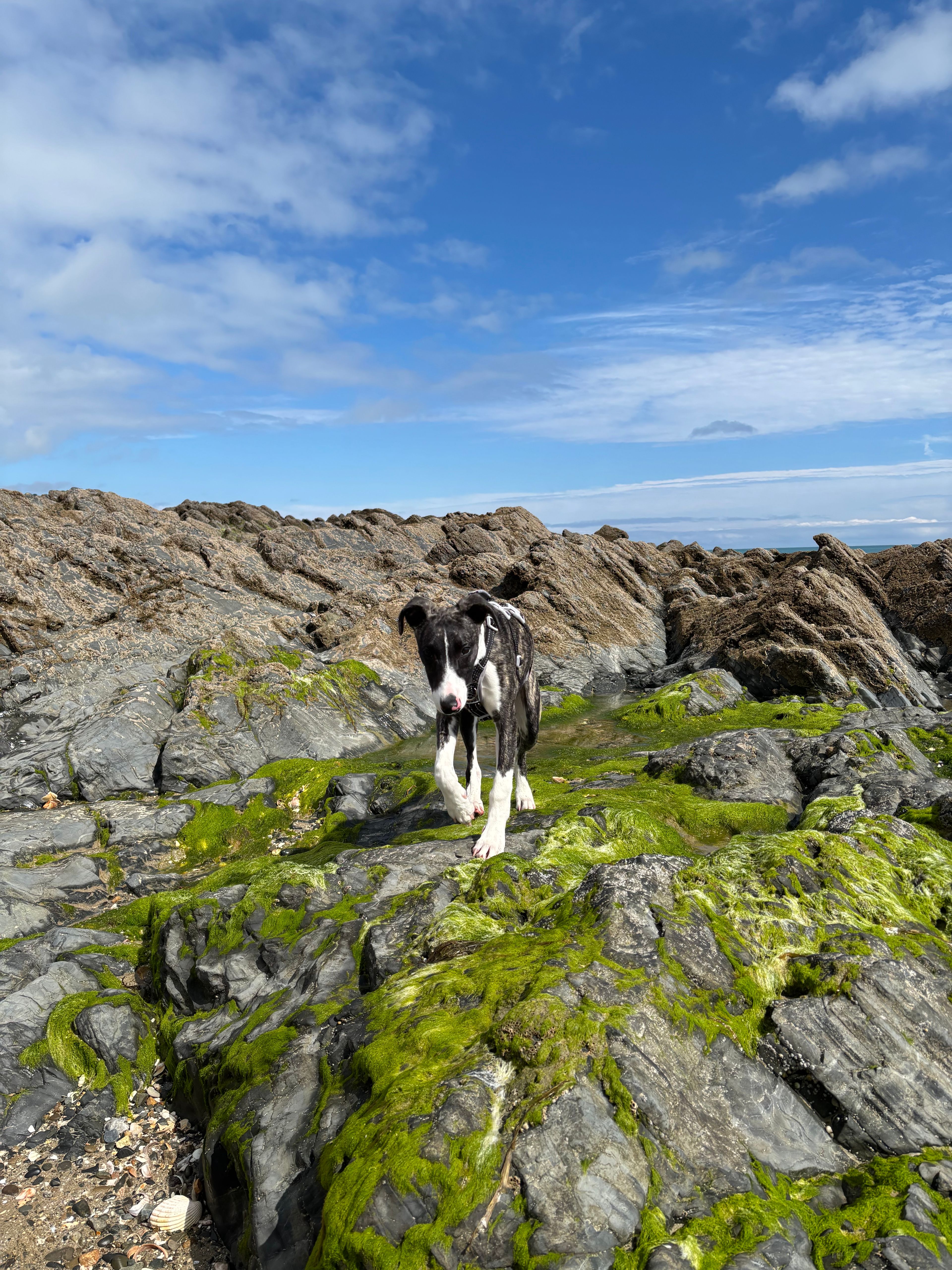 image-9