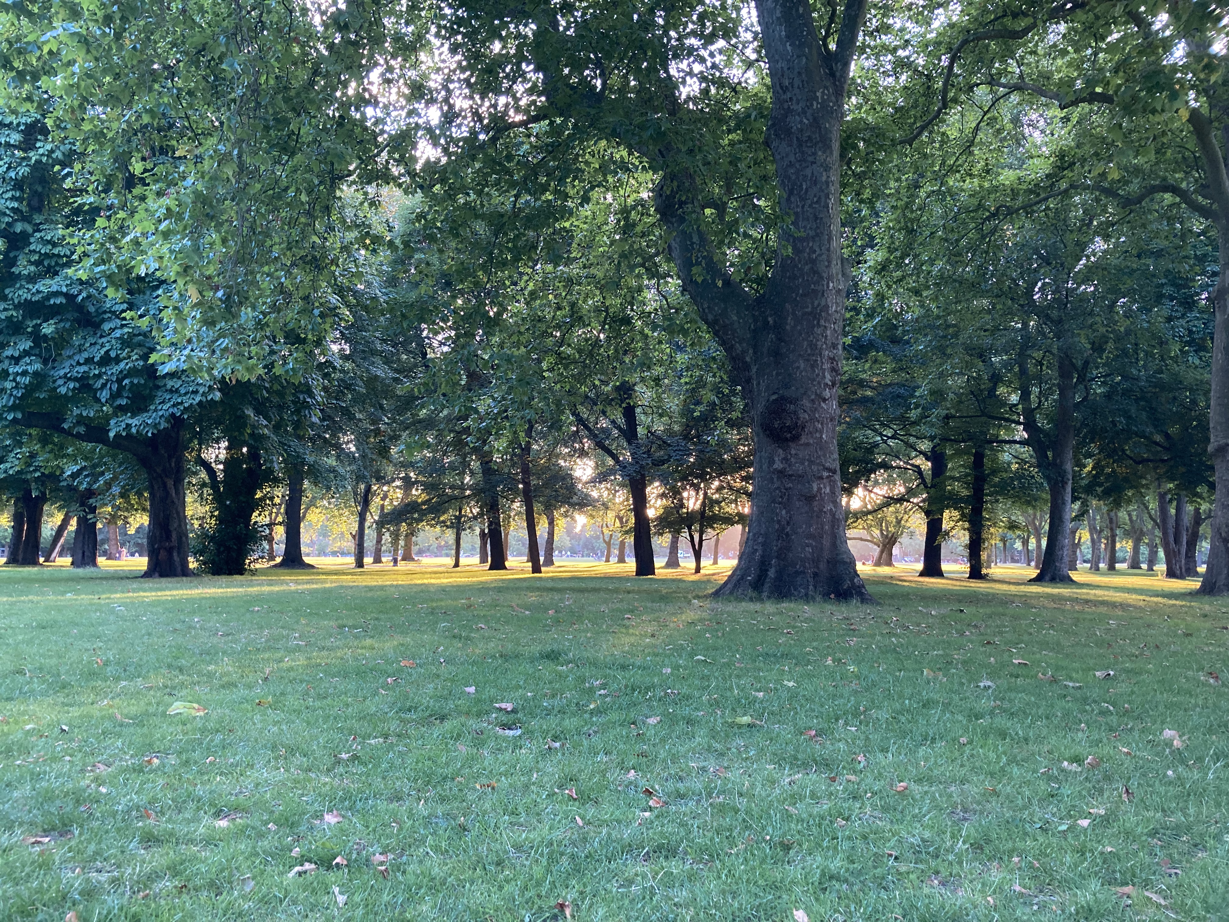 image-13