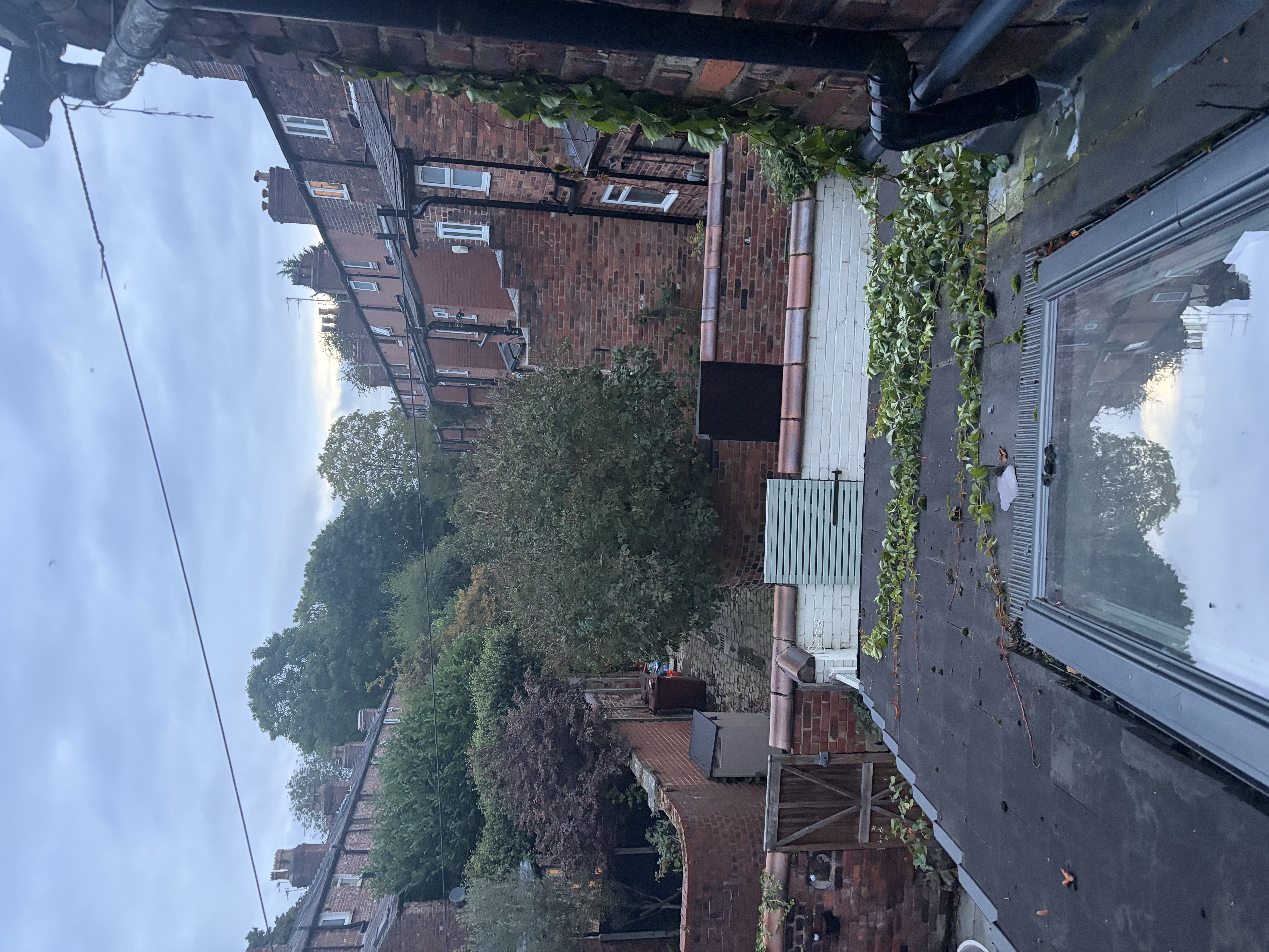 image-20