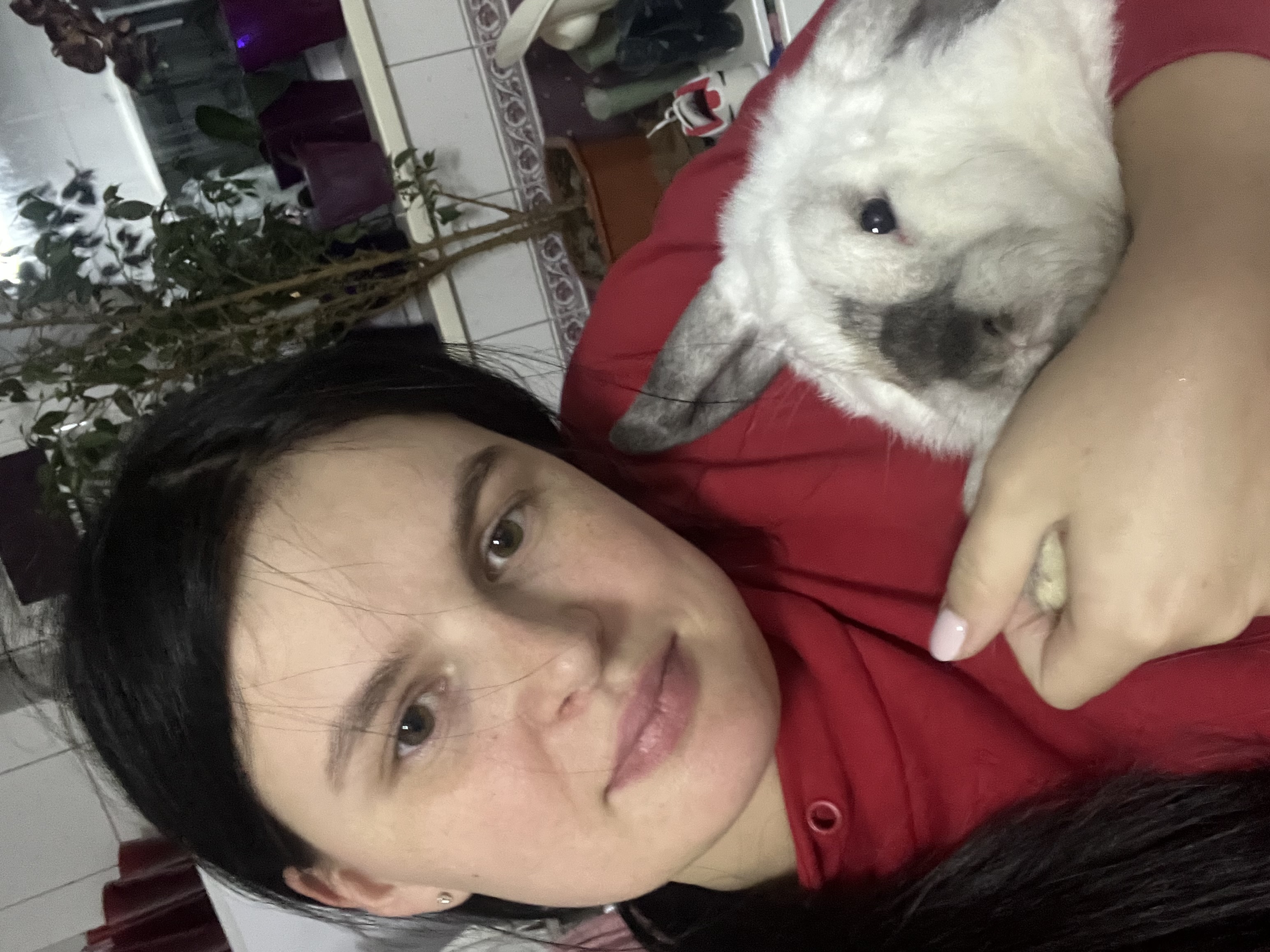 image-6
