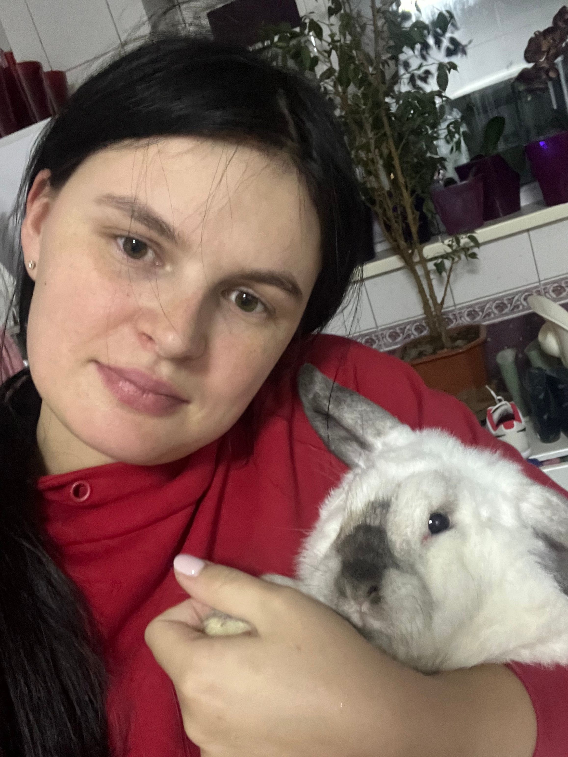 image-6