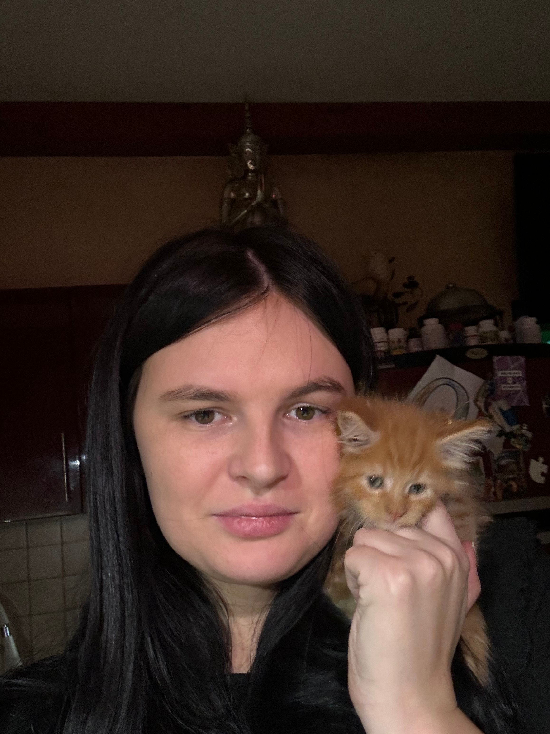 image-5